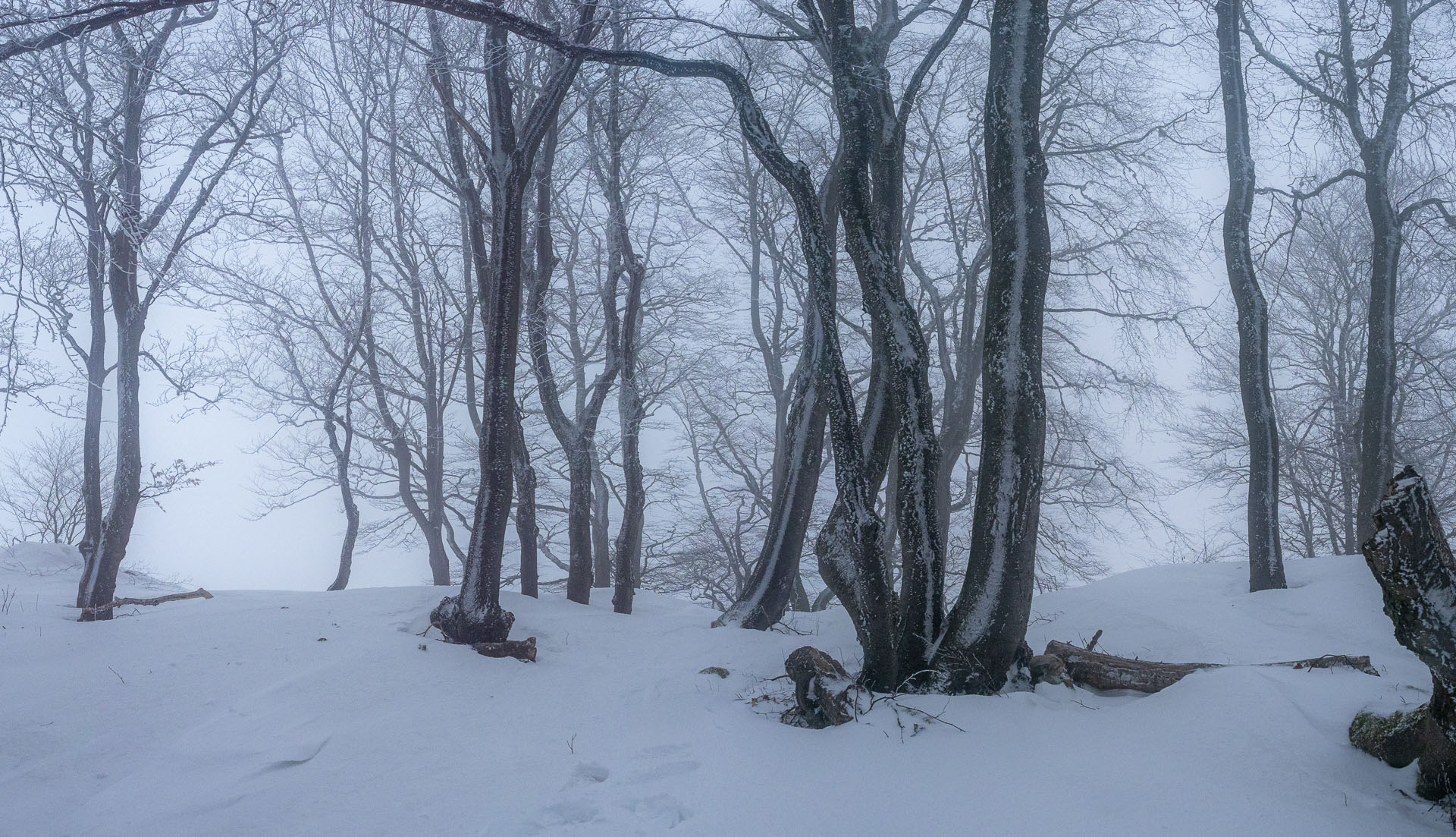 Osnica z Lučivnej (Malá Fatra)