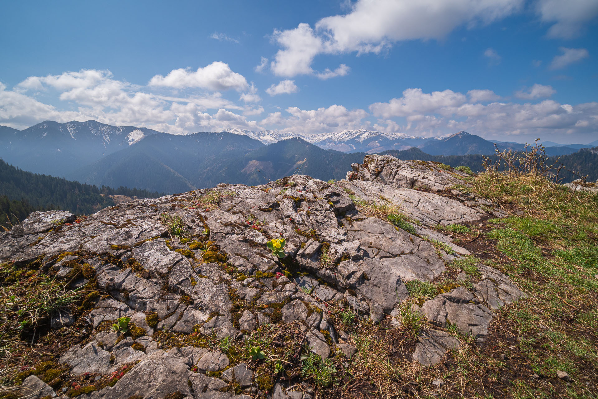 Poludnica z Iľanova (Nízke Tatry)