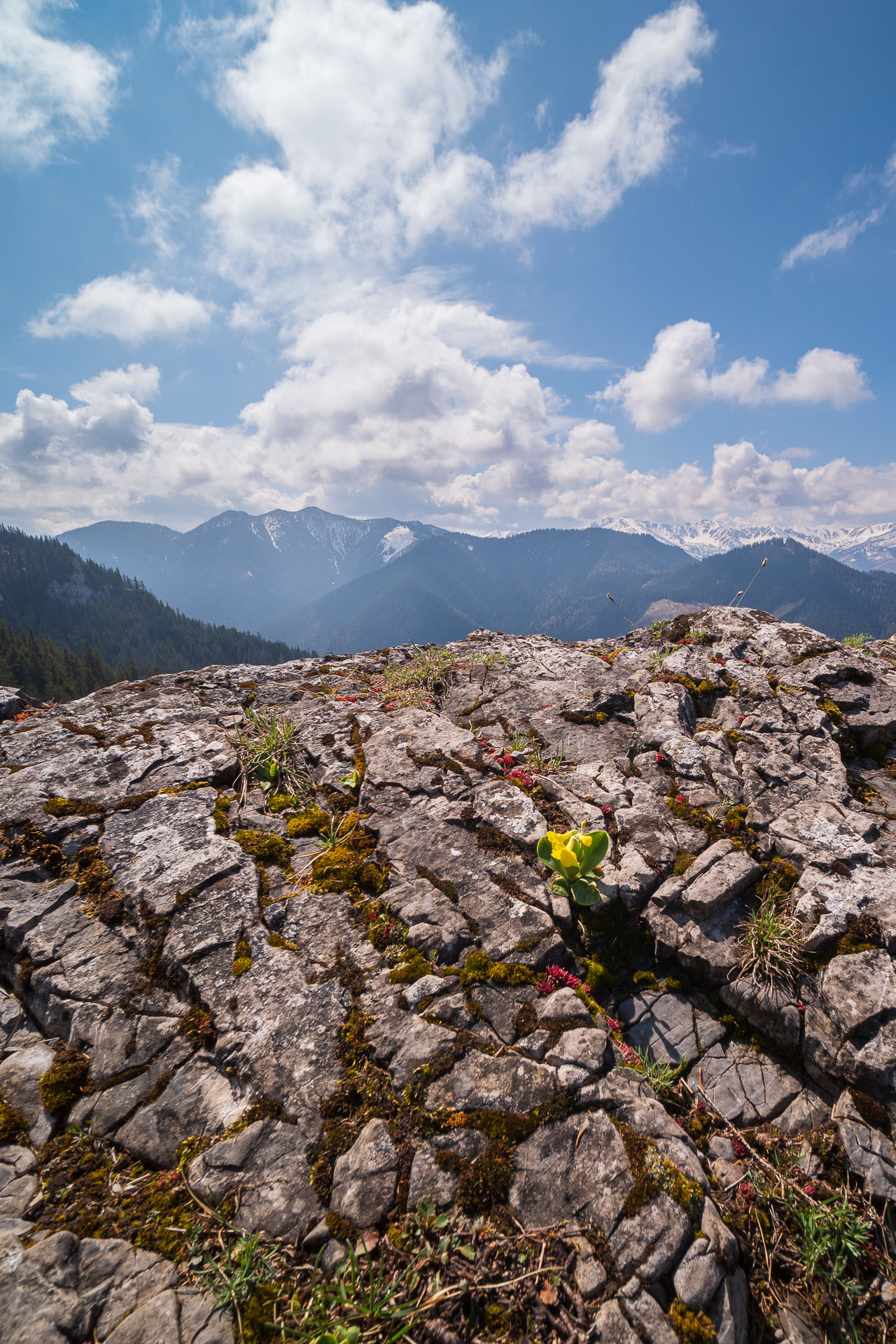 Poludnica z Iľanova (Nízke Tatry)