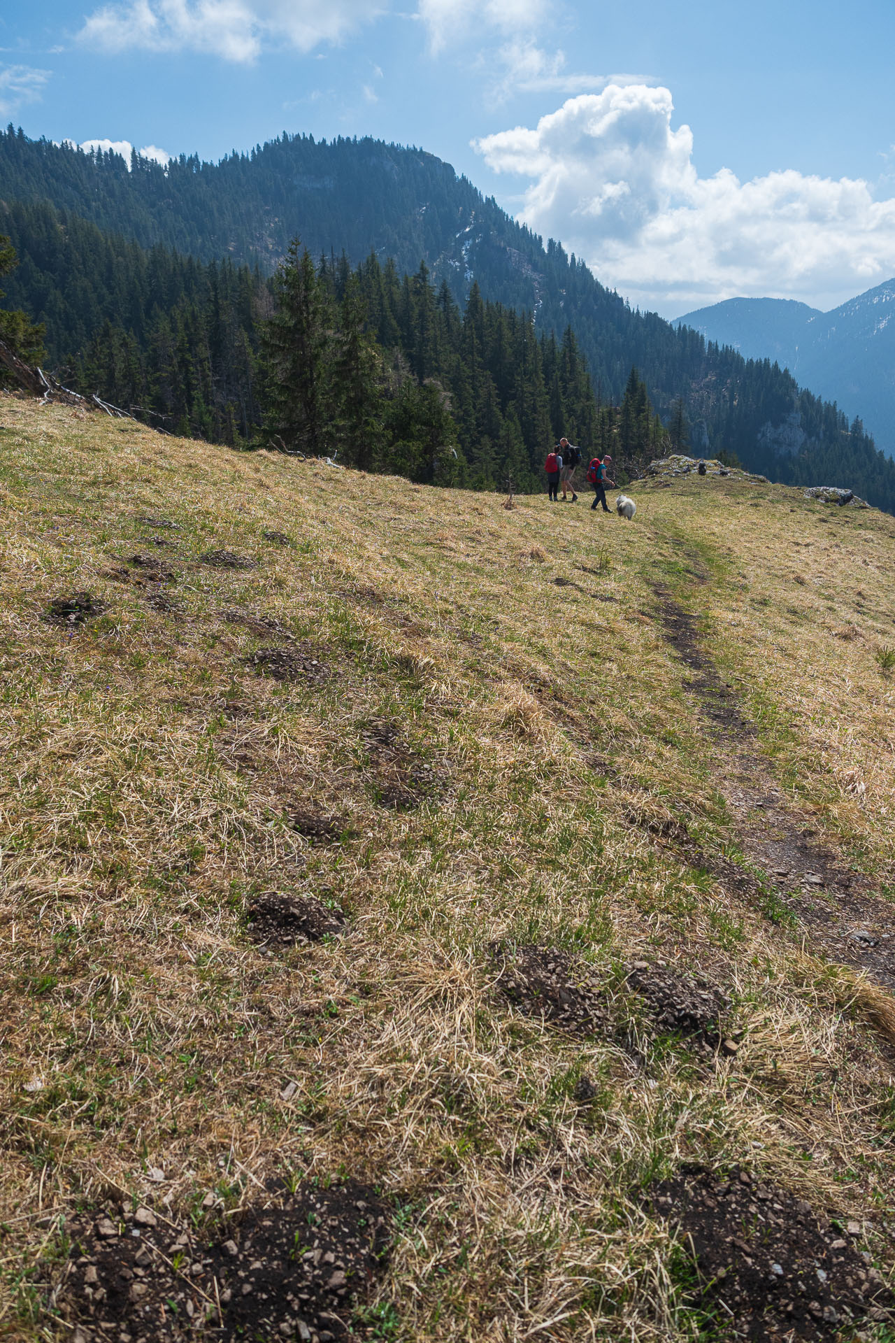 Poludnica z Iľanova (Nízke Tatry)