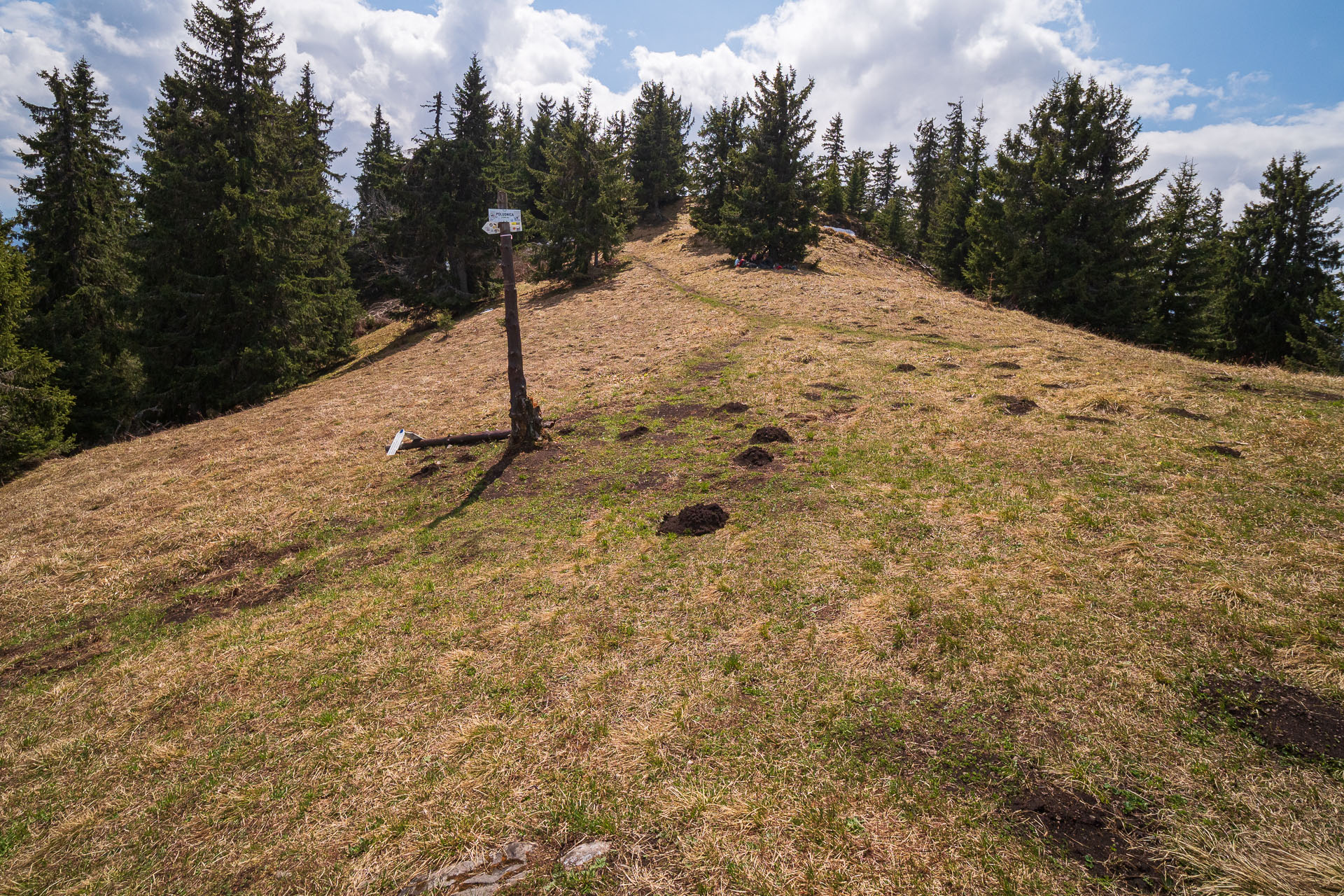 Poludnica z Iľanova (Nízke Tatry)