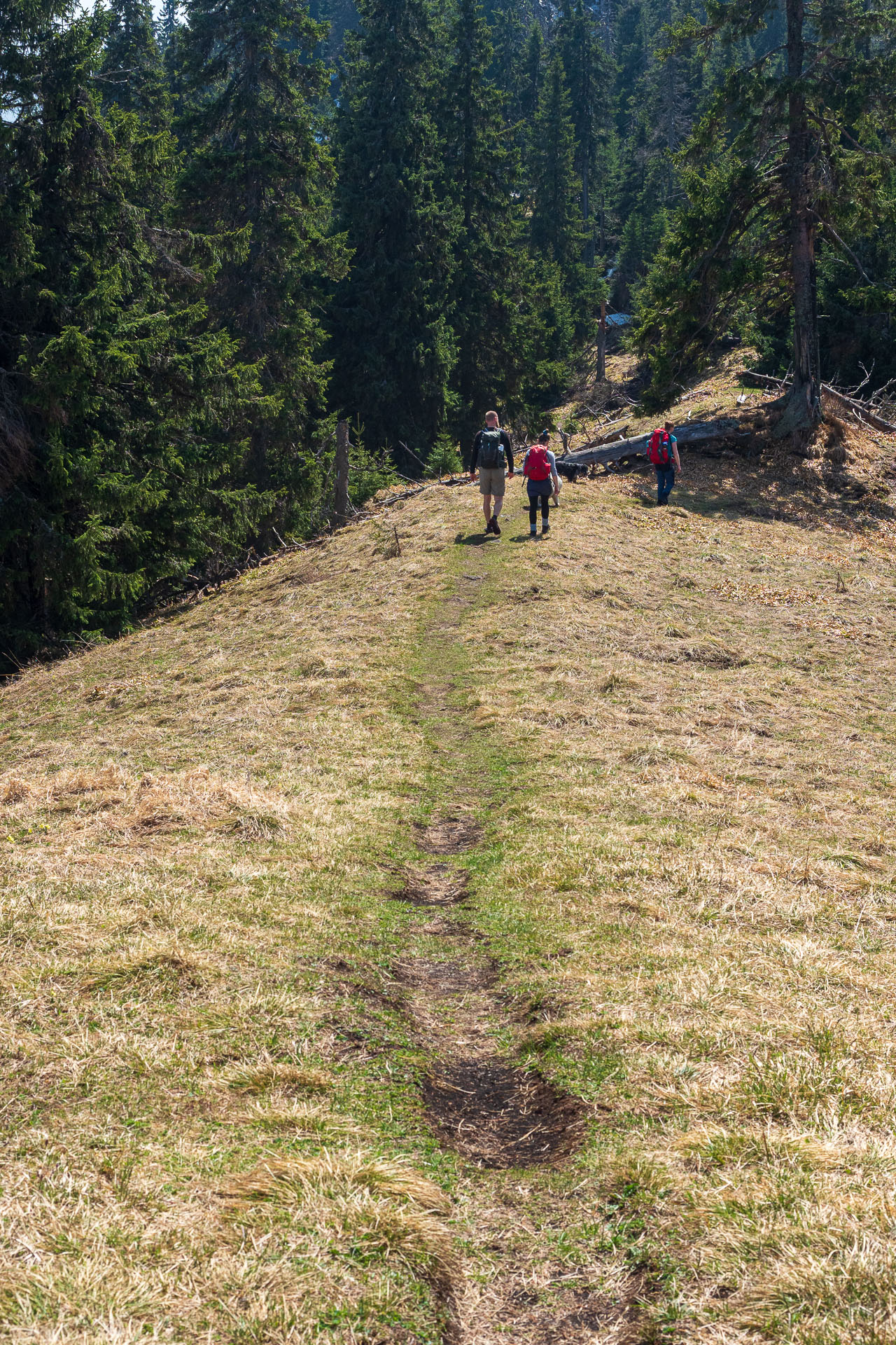 Poludnica z Iľanova (Nízke Tatry)