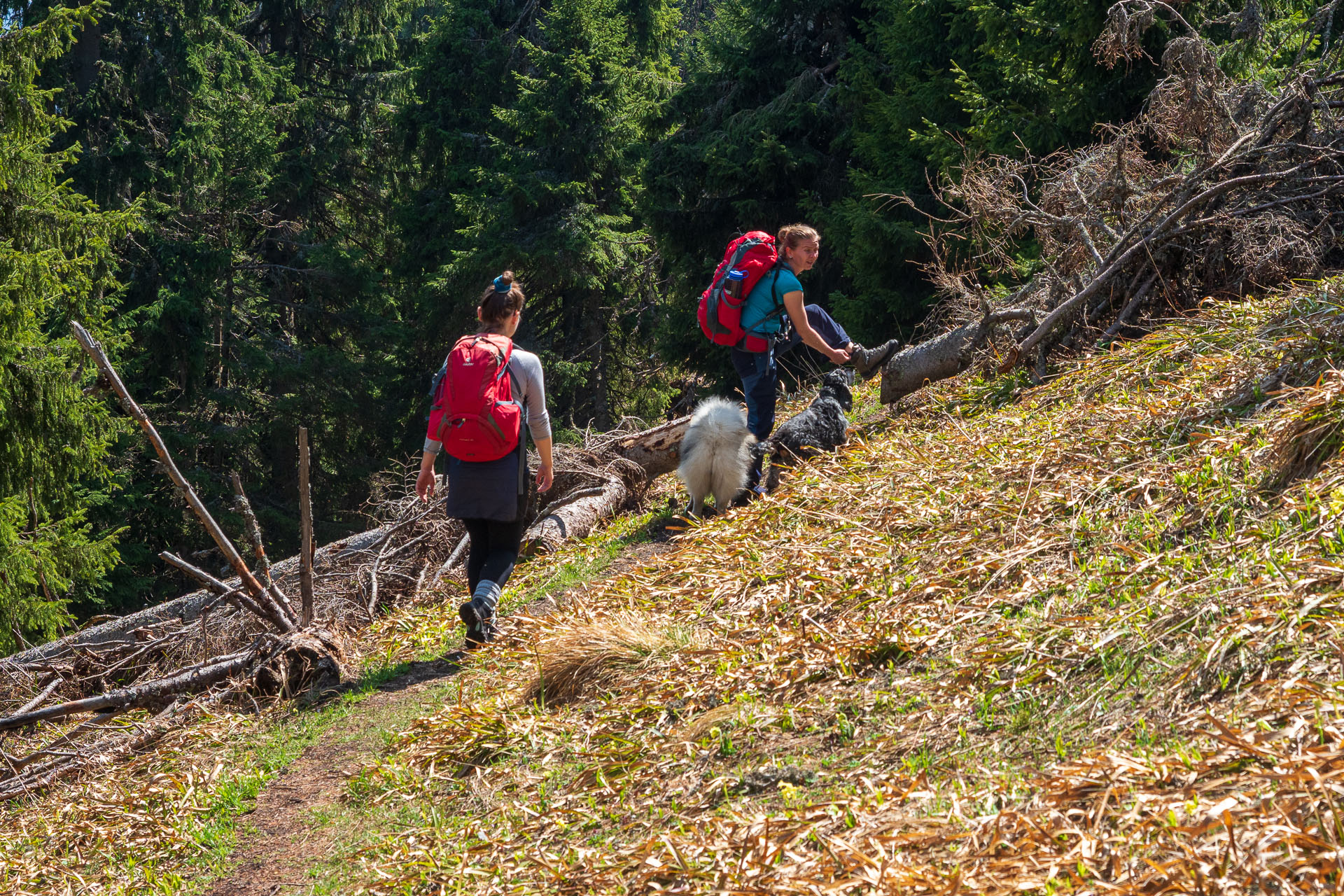 Poludnica z Iľanova (Nízke Tatry)