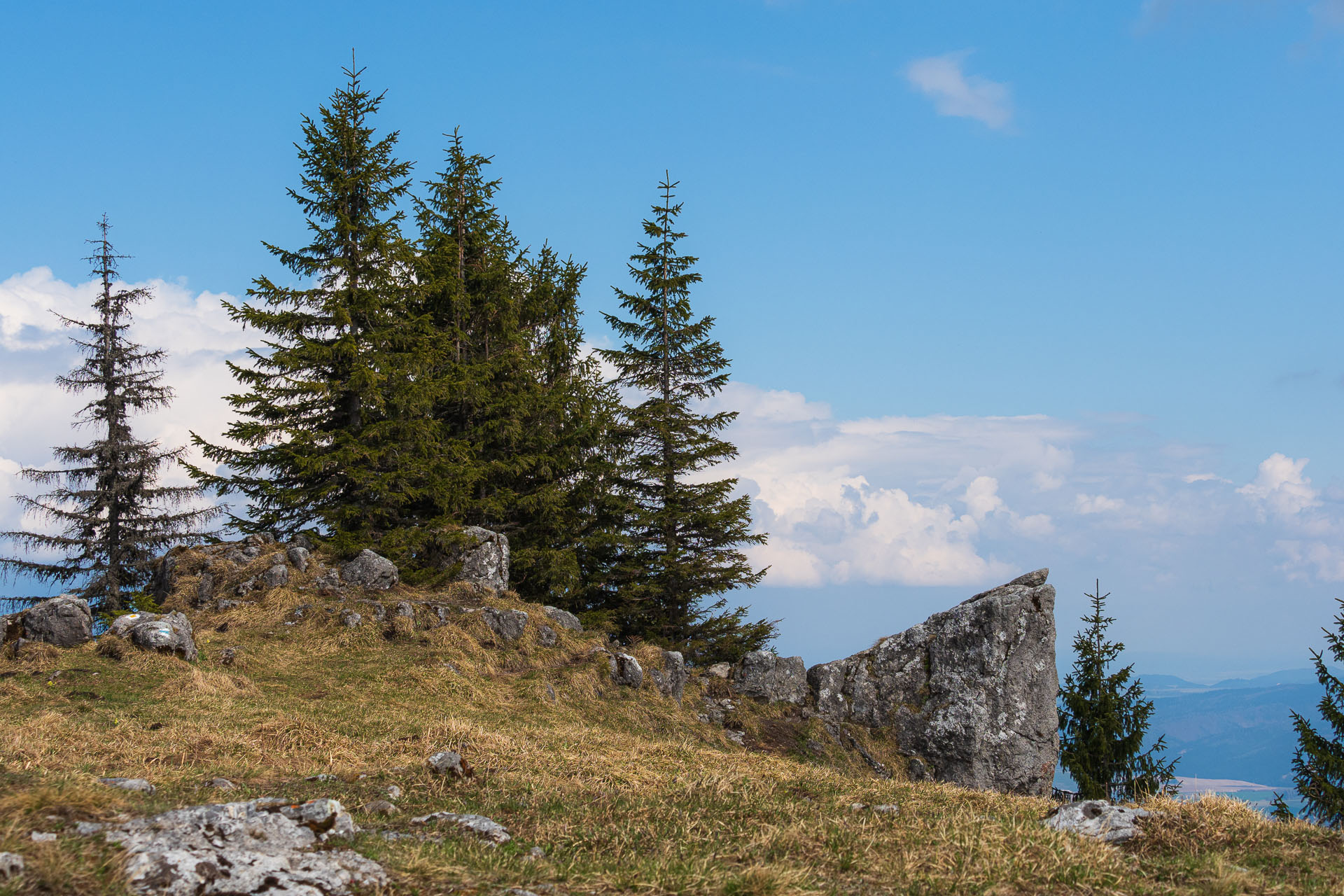 Poludnica z Iľanova (Nízke Tatry)