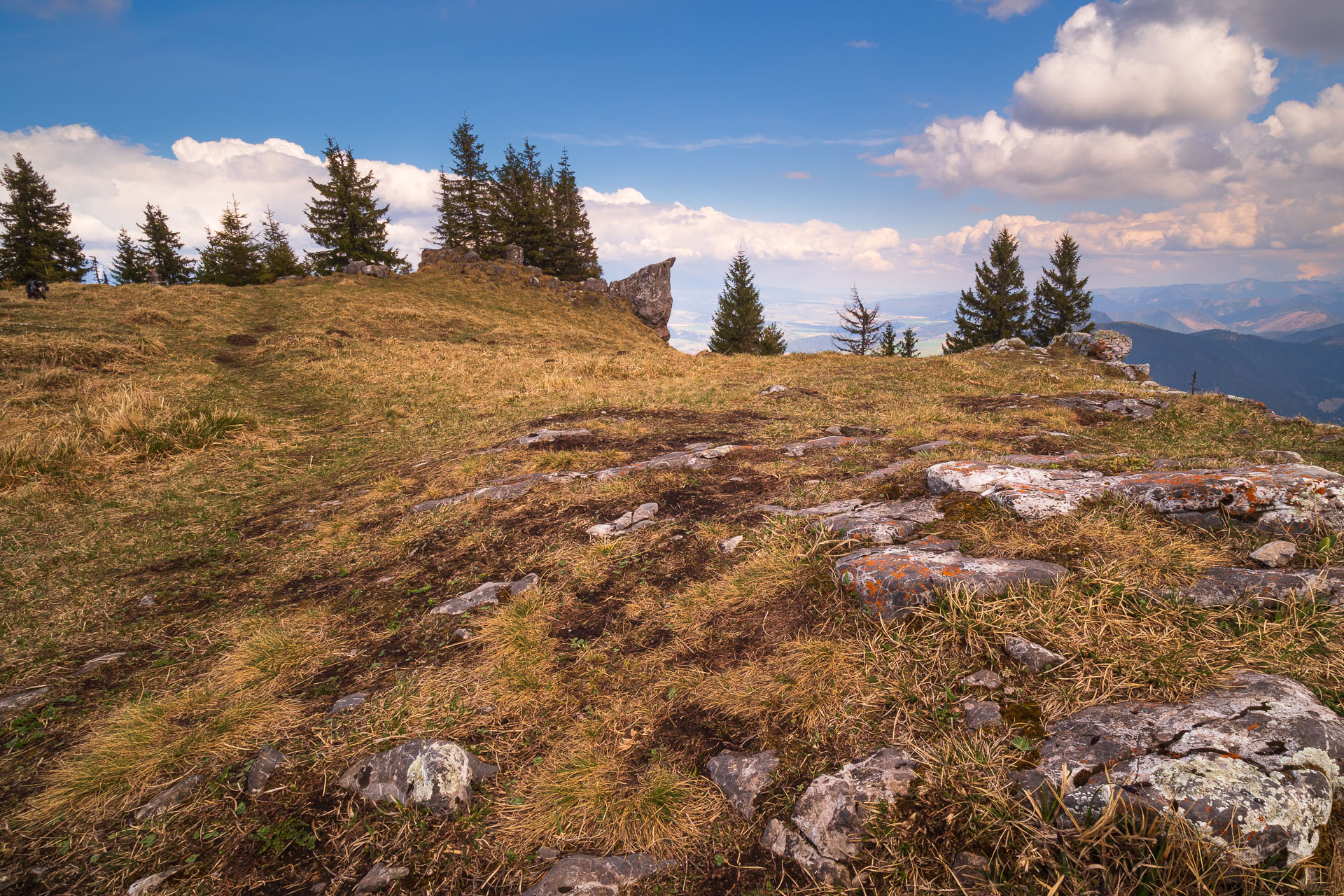 Poludnica z Iľanova (Nízke Tatry)