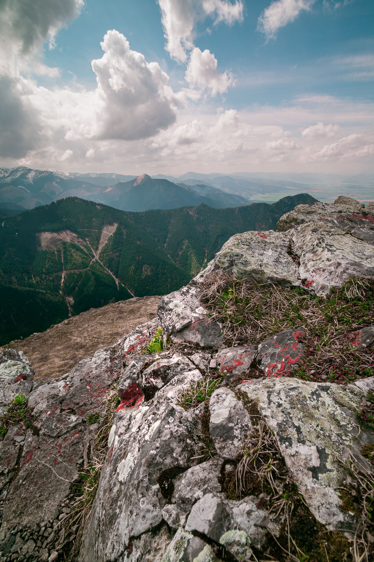 Poludnica z Iľanova (Nízke Tatry)