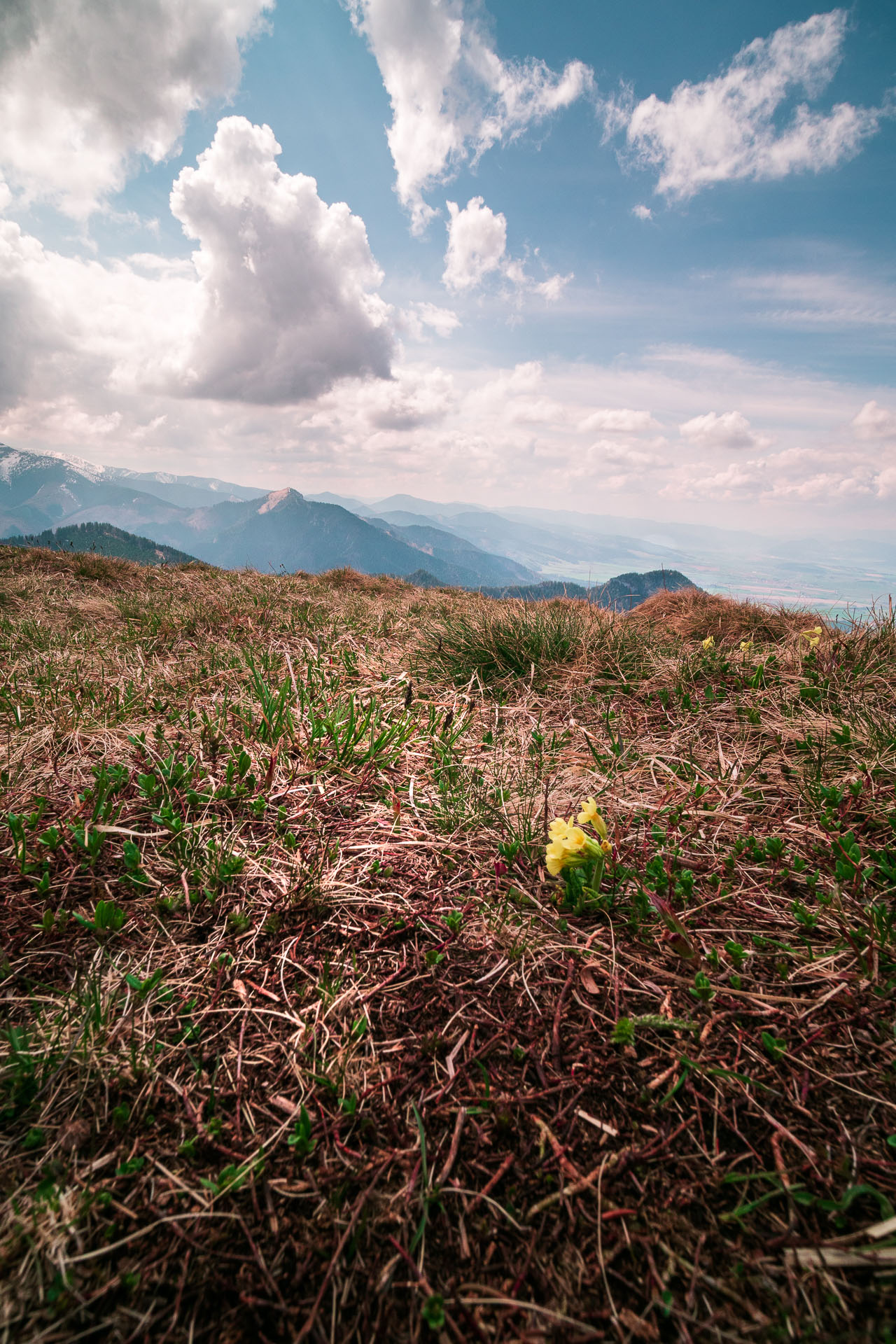 Poludnica z Iľanova (Nízke Tatry)