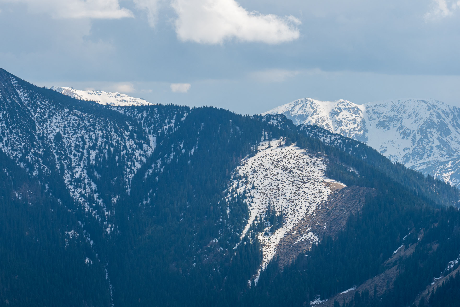 Poludnica z Iľanova (Nízke Tatry)