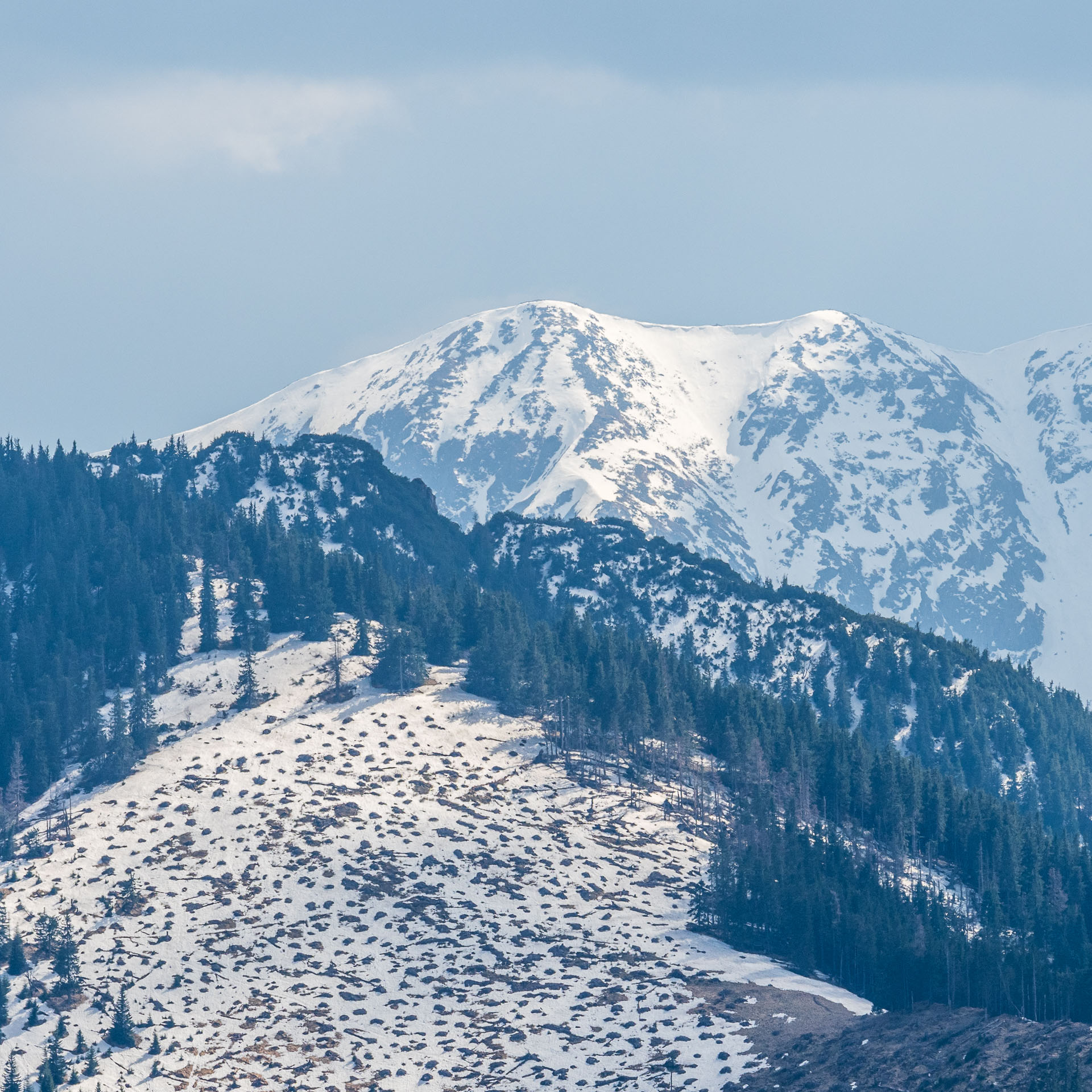 Poludnica z Iľanova (Nízke Tatry)