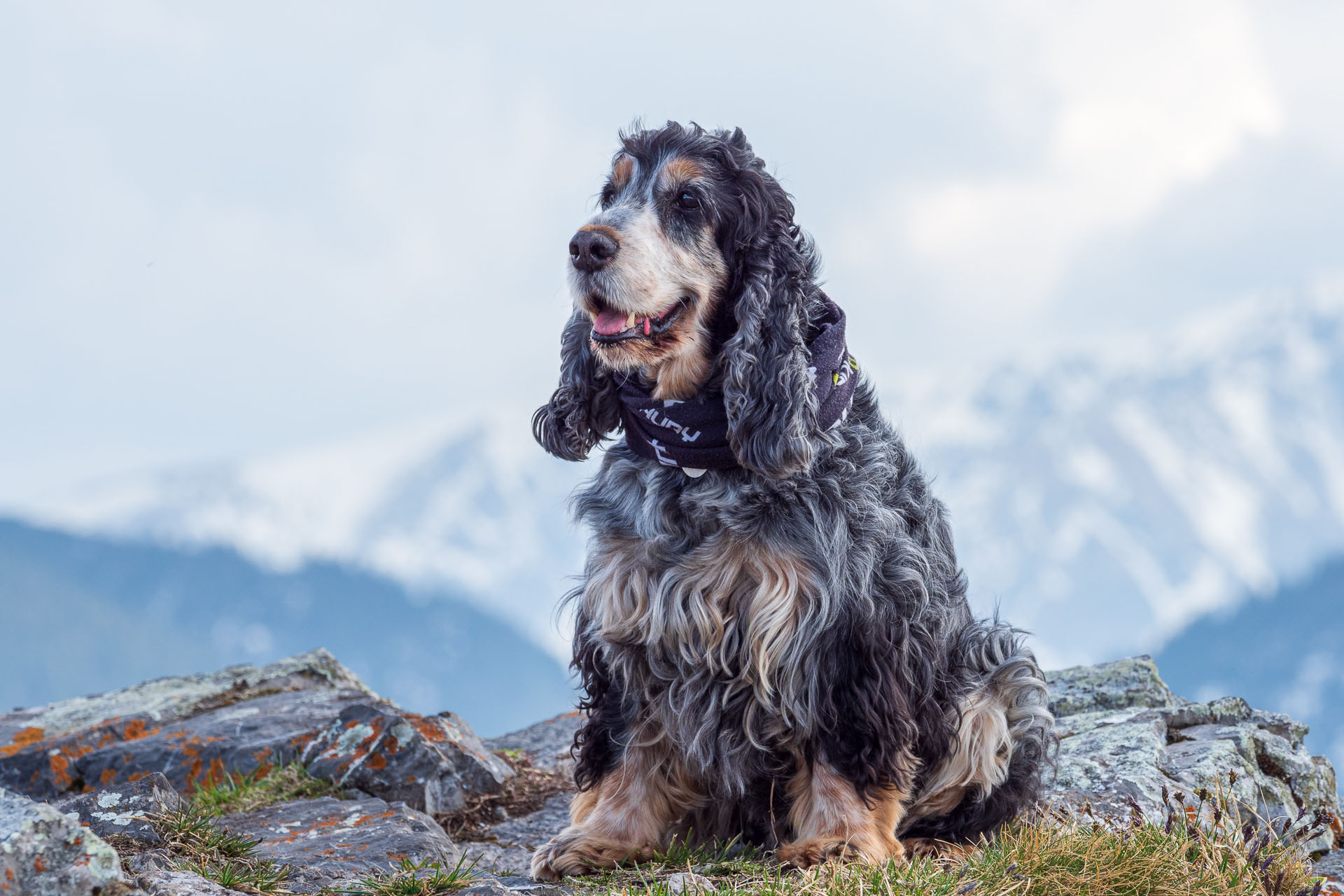 Poludnica z Iľanova (Nízke Tatry)