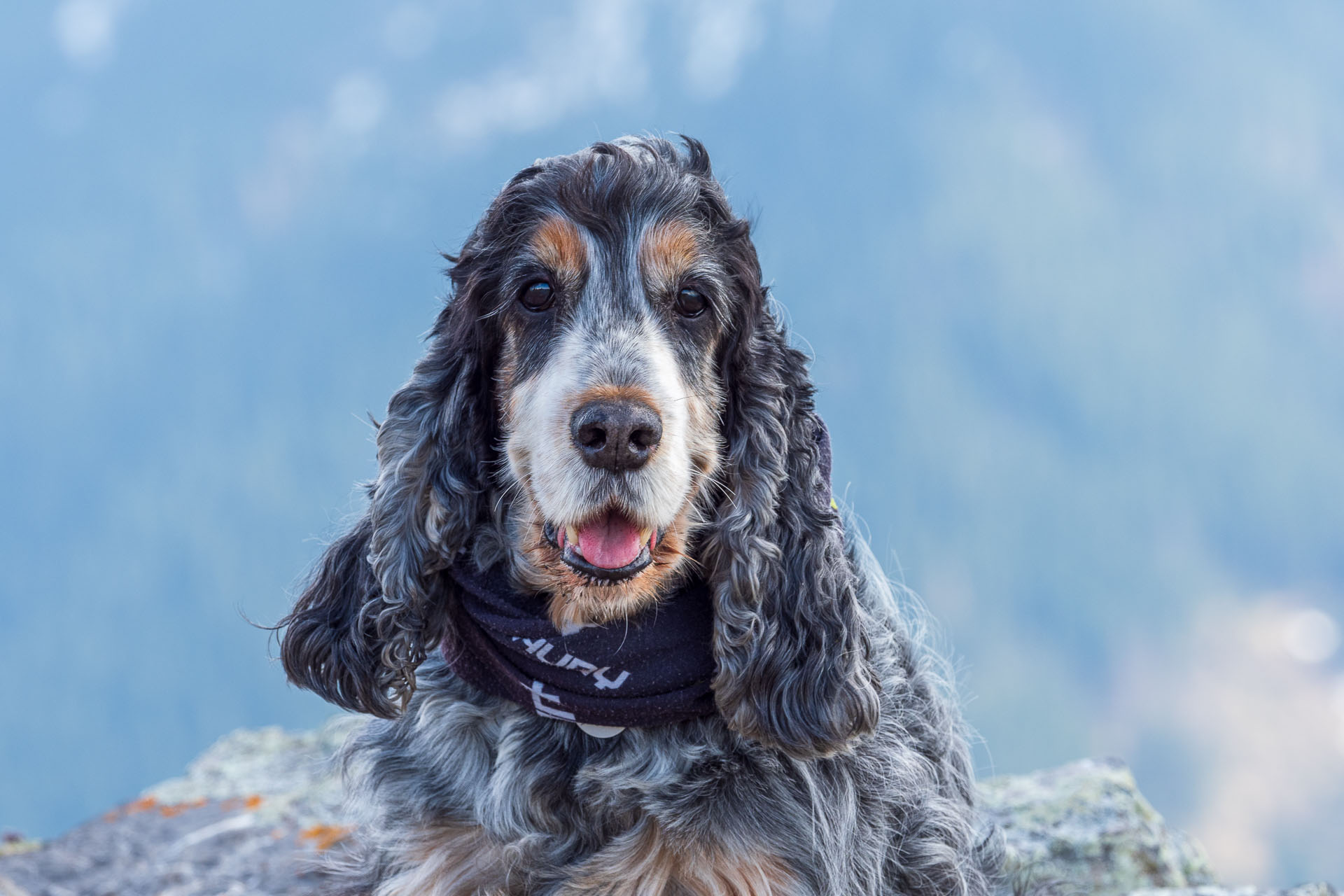 Poludnica z Iľanova (Nízke Tatry)