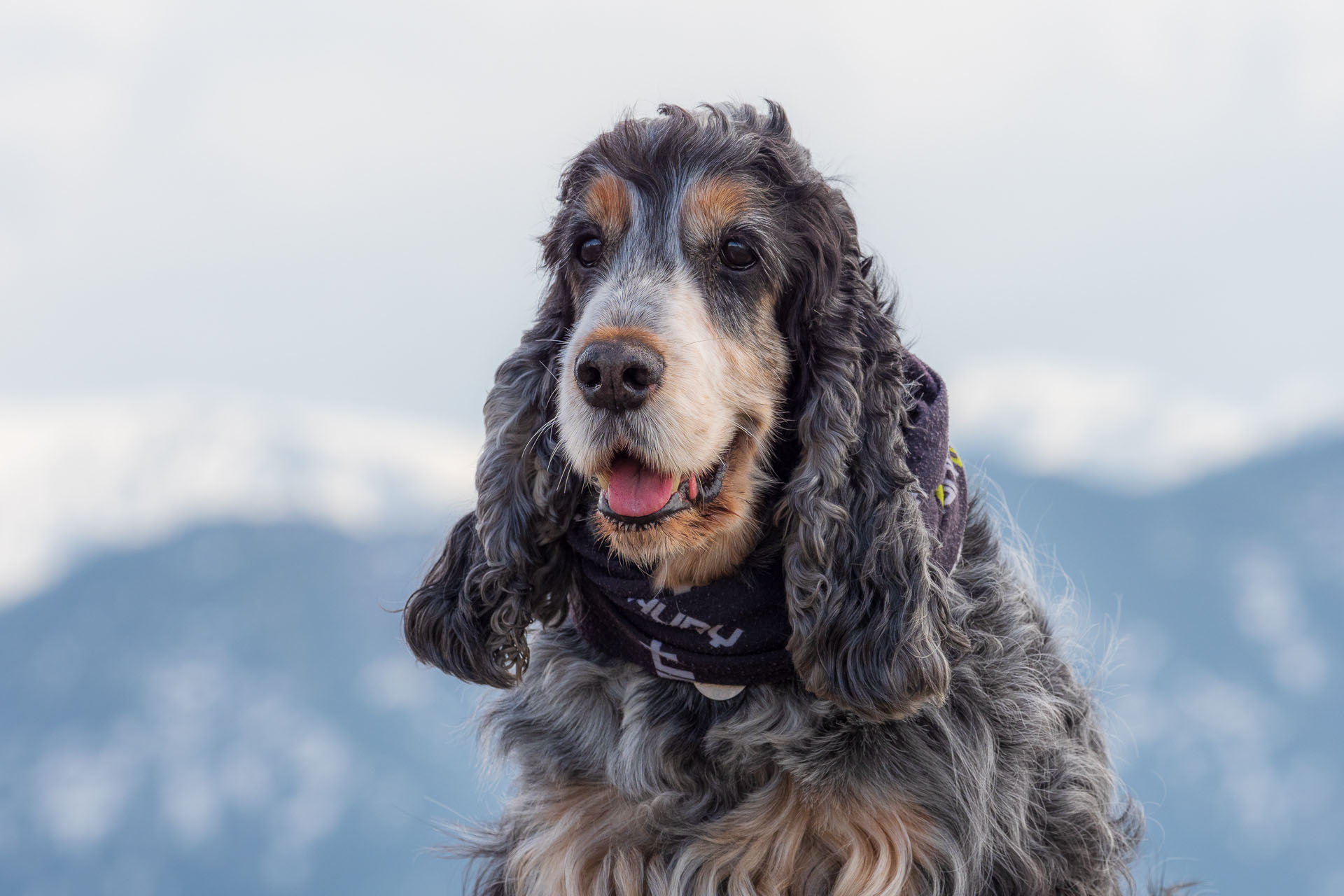 Poludnica z Iľanova (Nízke Tatry)