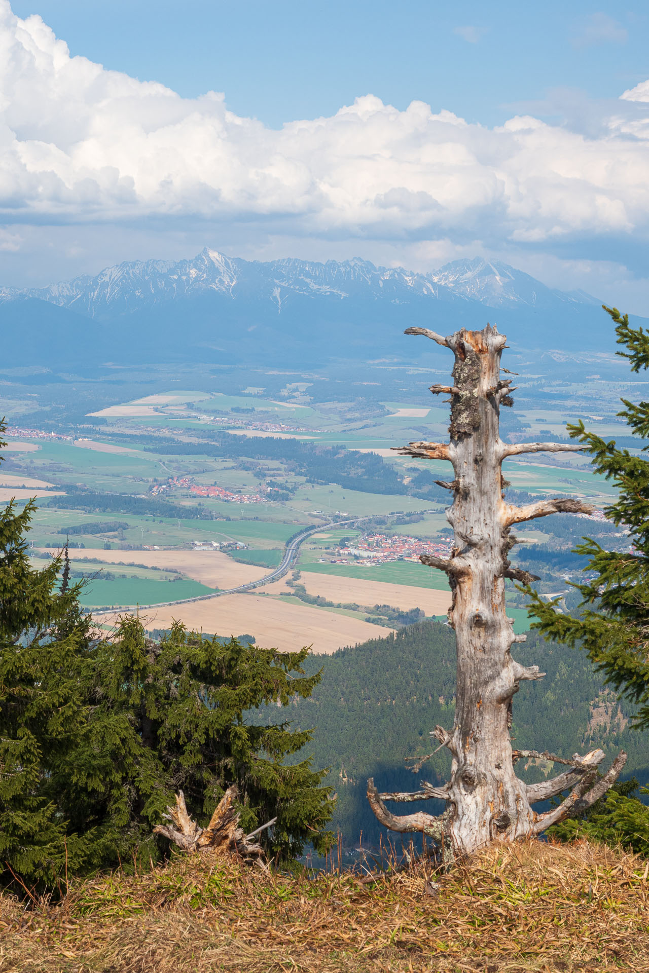 Poludnica z Iľanova (Nízke Tatry)