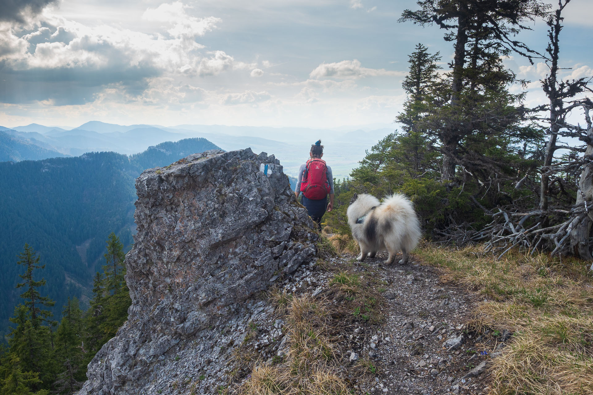 Poludnica z Iľanova (Nízke Tatry)