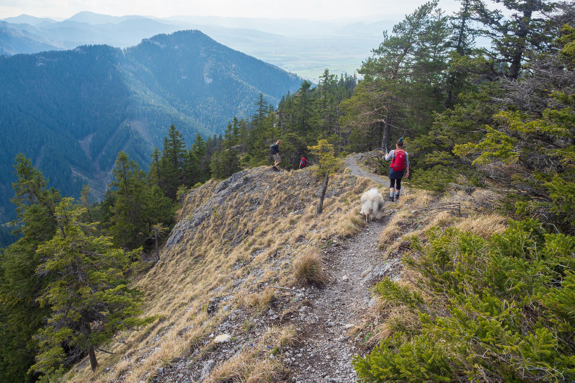 Poludnica z Iľanova (Nízke Tatry)