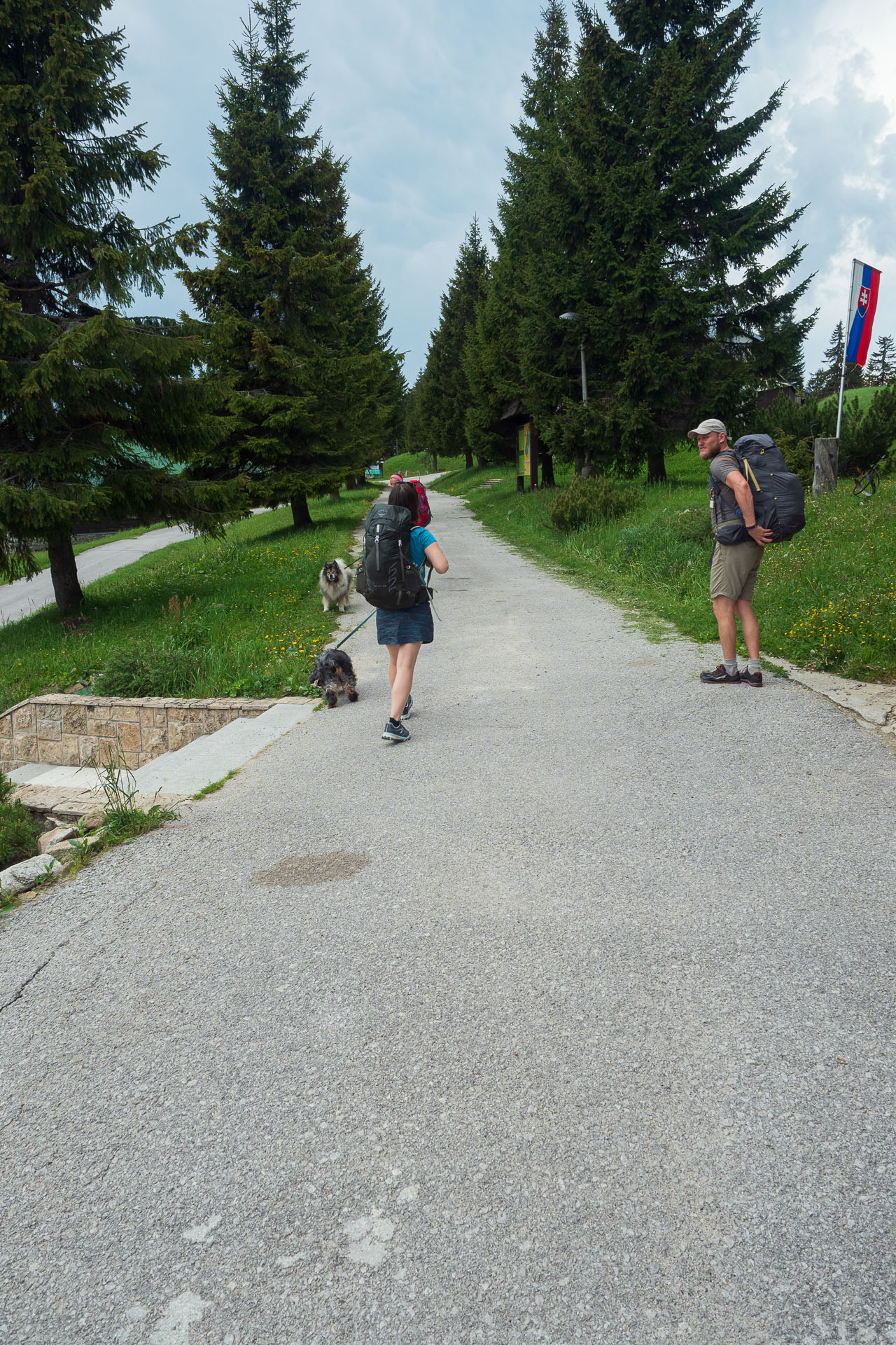 Rakytov od vojenskej zotavovne Granit Smrekovica (Veľká Fatra)