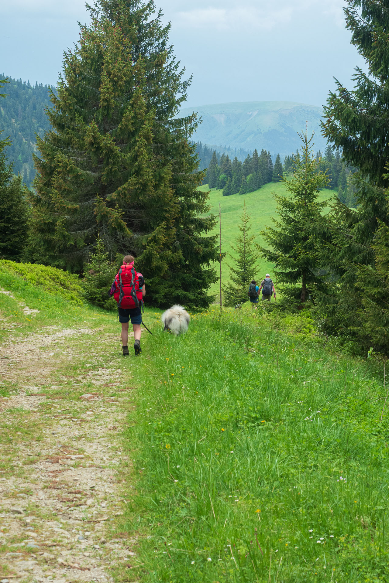 Rakytov od vojenskej zotavovne Granit Smrekovica (Veľká Fatra)