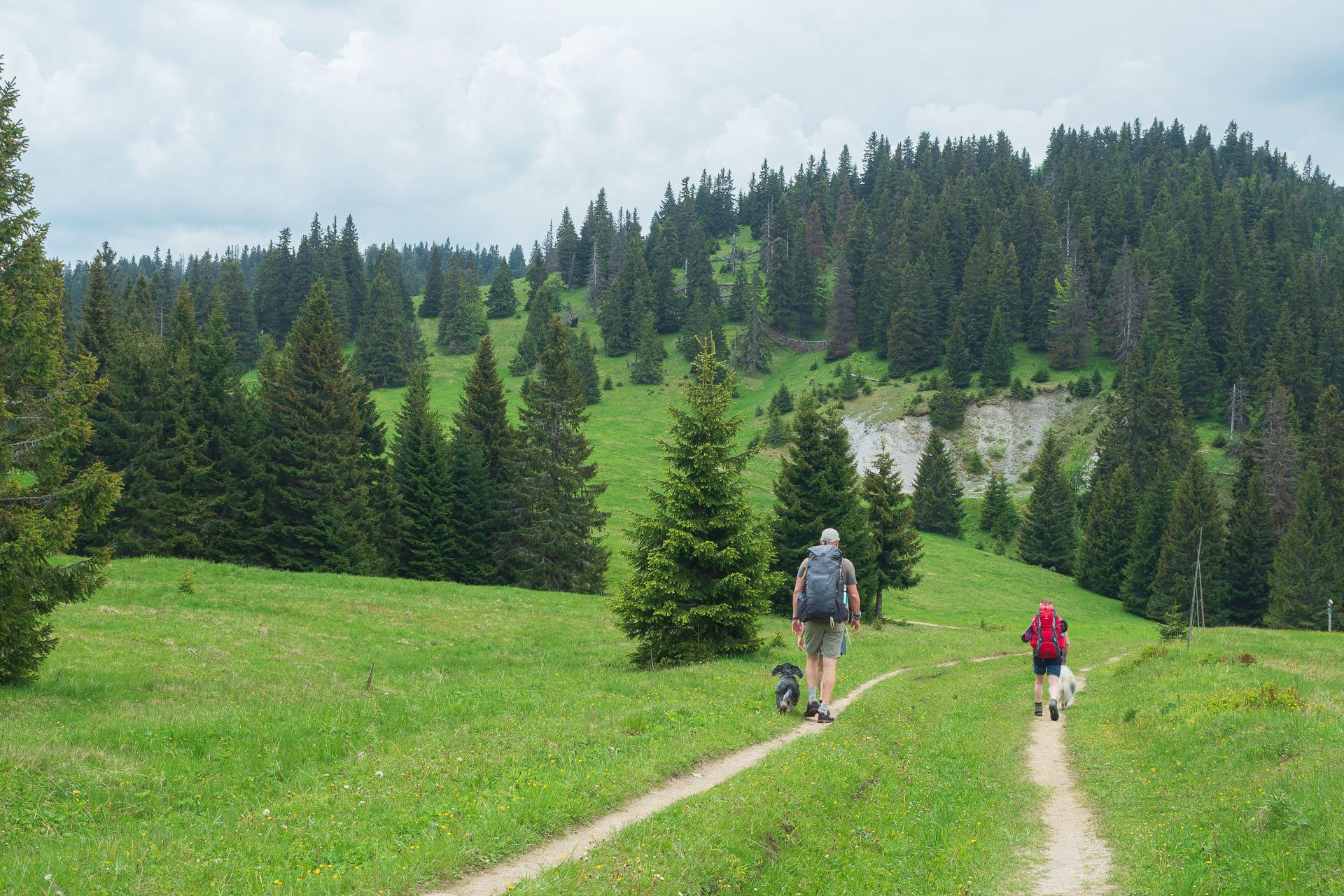 Rakytov od vojenskej zotavovne Granit Smrekovica (Veľká Fatra)