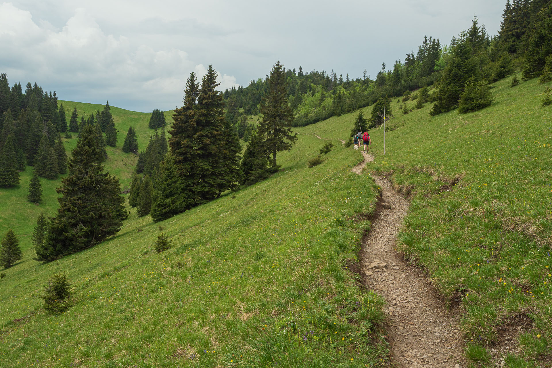 Rakytov od vojenskej zotavovne Granit Smrekovica (Veľká Fatra)