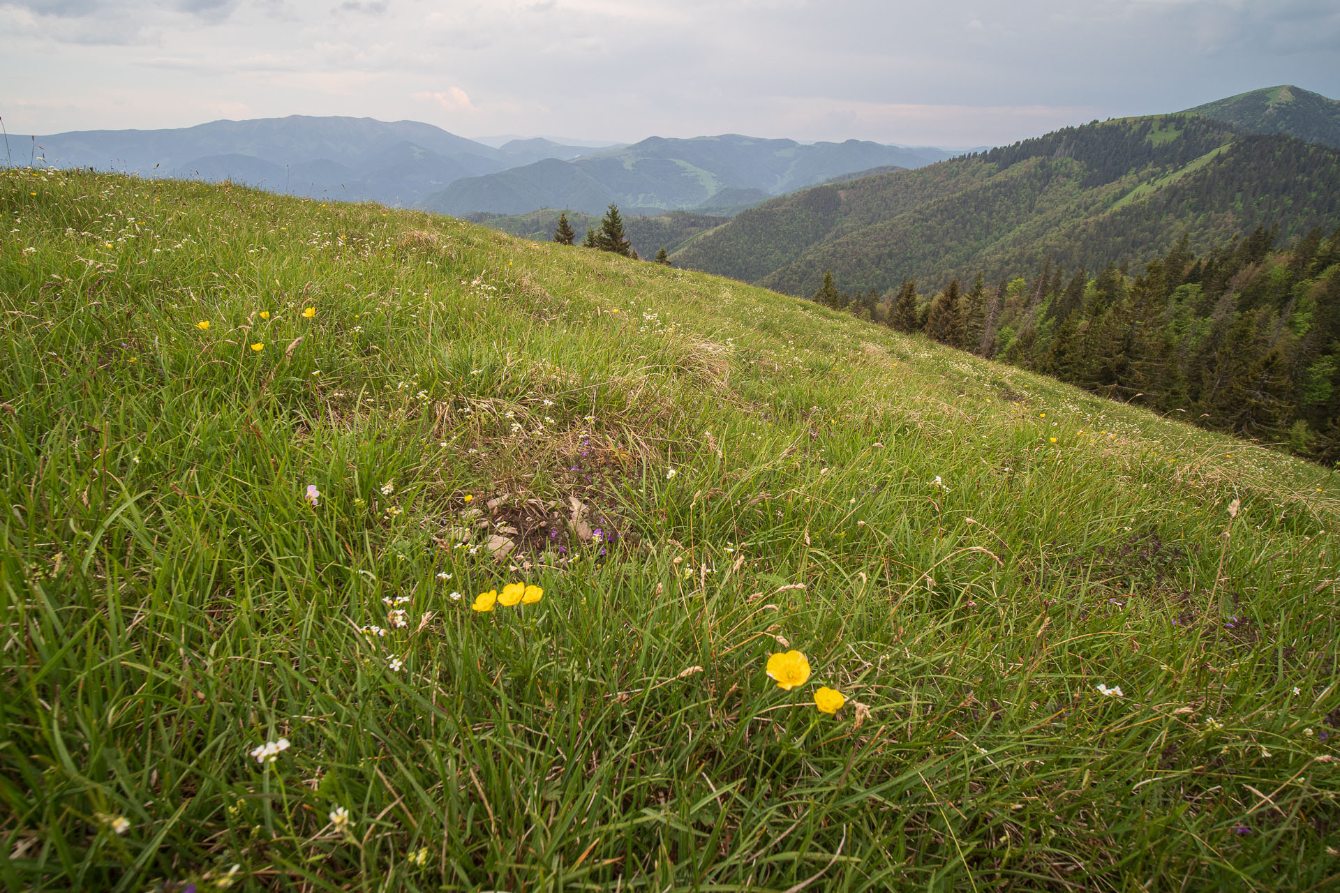 Rakytov od vojenskej zotavovne Granit Smrekovica (Veľká Fatra)