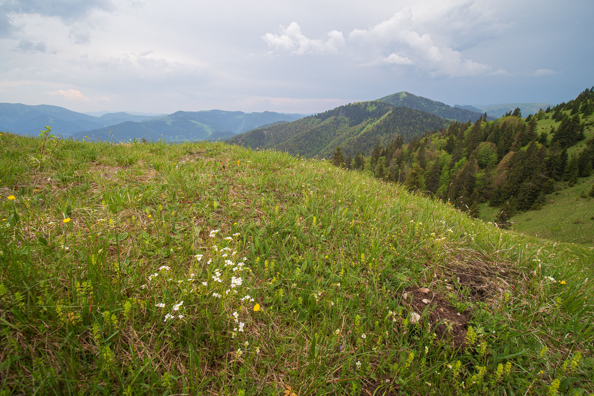 Rakytov od vojenskej zotavovne Granit Smrekovica (Veľká Fatra)