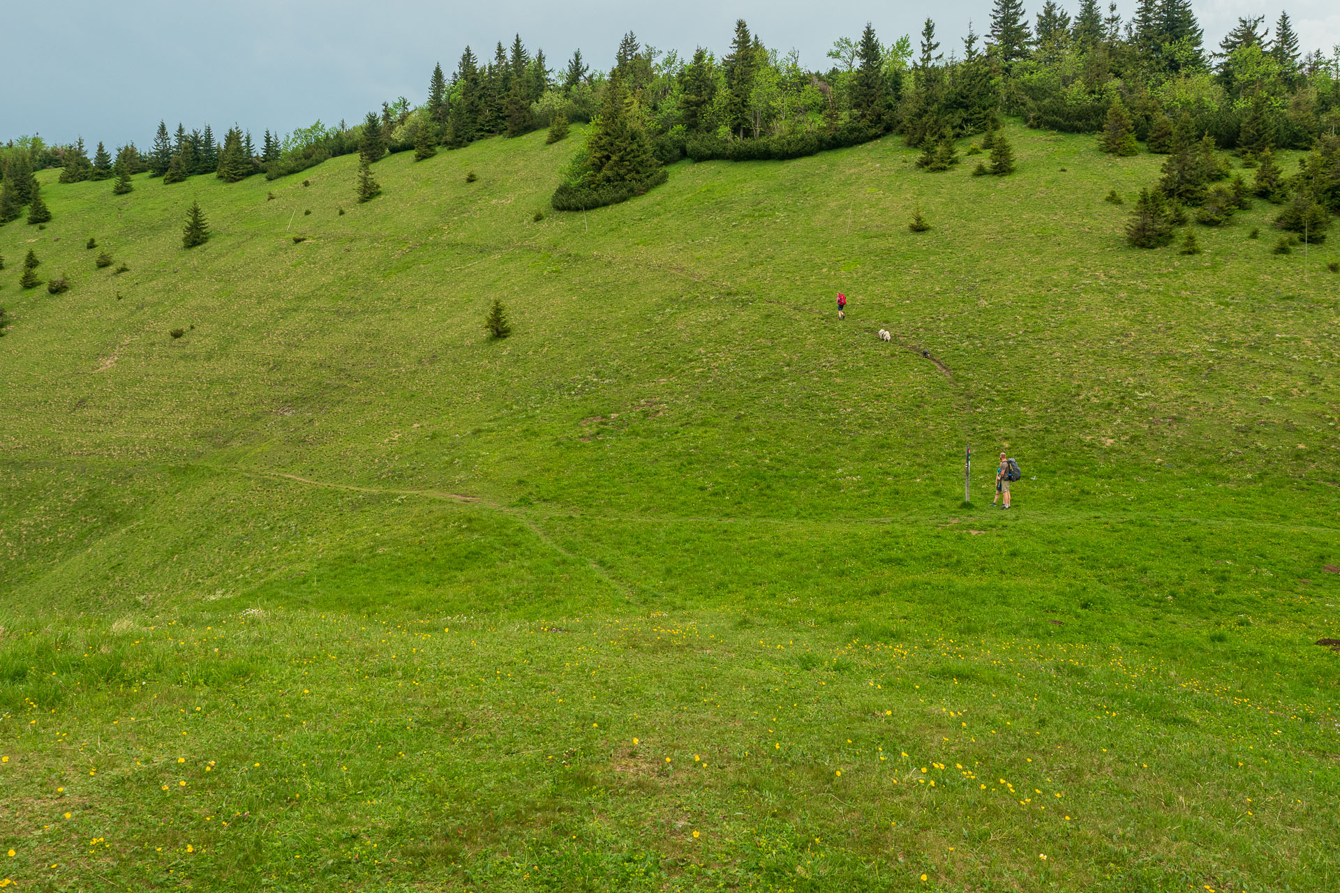 Rakytov od vojenskej zotavovne Granit Smrekovica (Veľká Fatra)