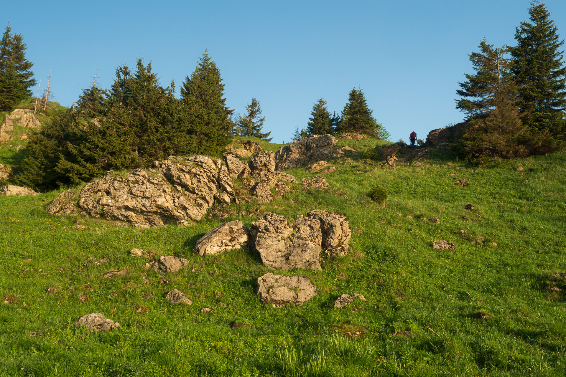 Rakytov od vojenskej zotavovne Granit Smrekovica (Veľká Fatra)