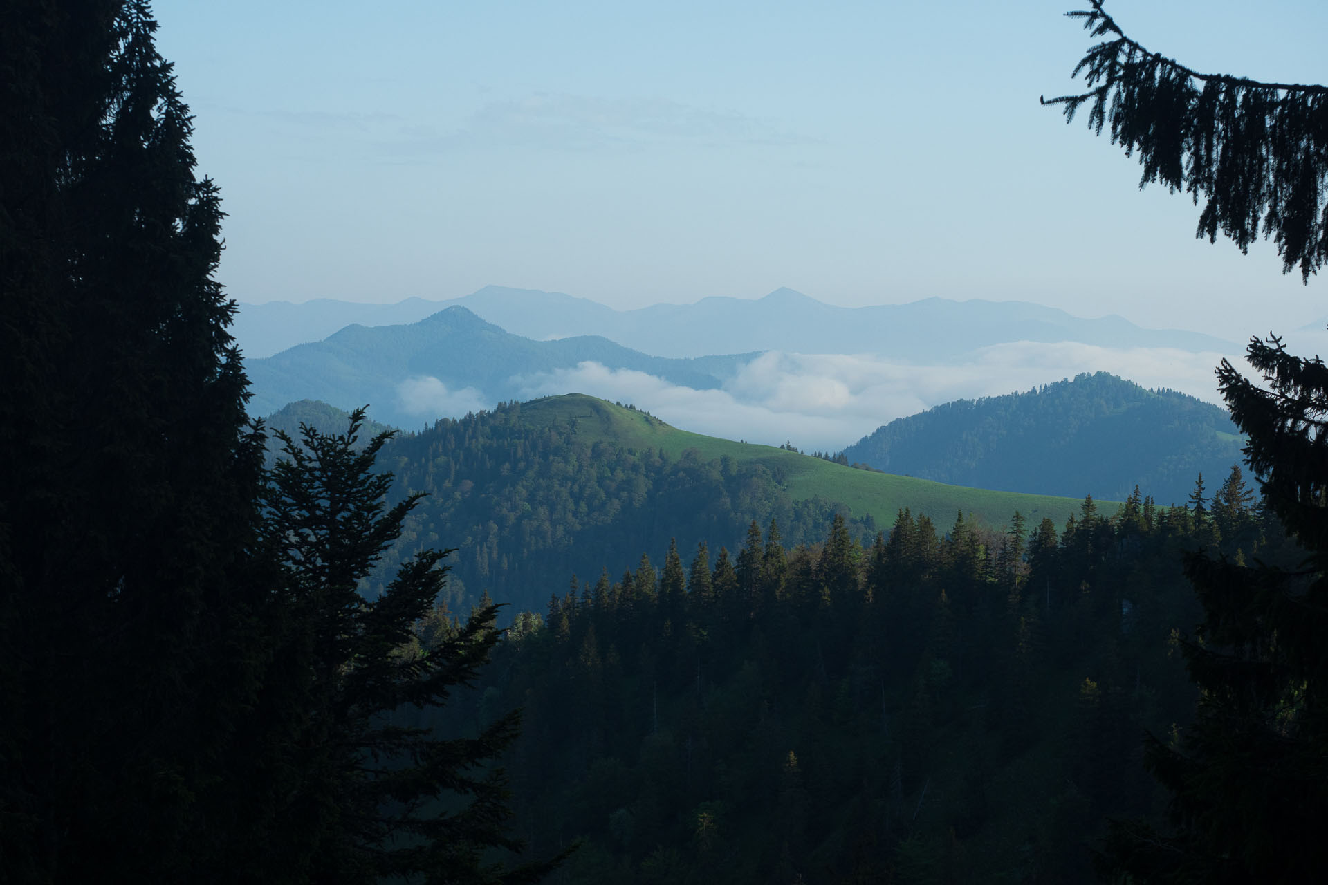 Rakytov od vojenskej zotavovne Granit Smrekovica (Veľká Fatra)