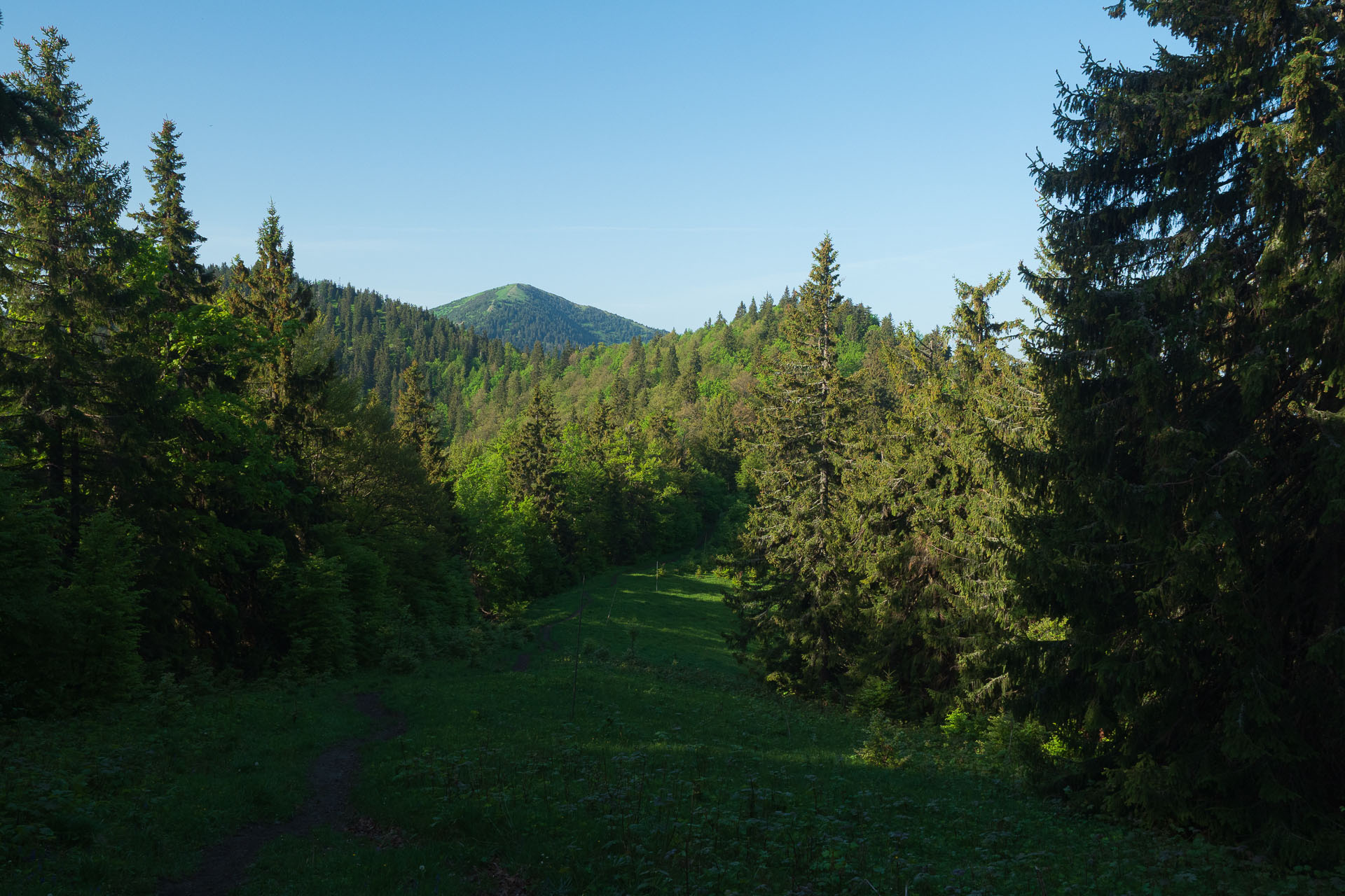 Rakytov od vojenskej zotavovne Granit Smrekovica (Veľká Fatra)