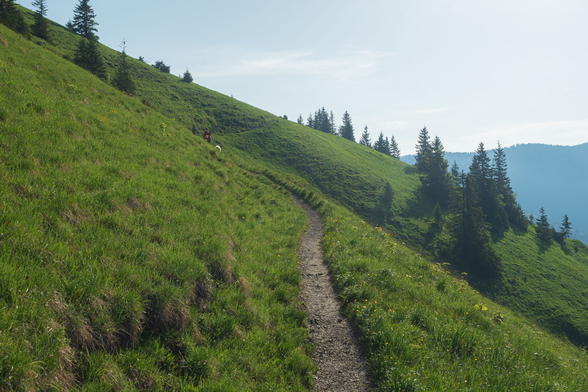 Rakytov od vojenskej zotavovne Granit Smrekovica (Veľká Fatra)