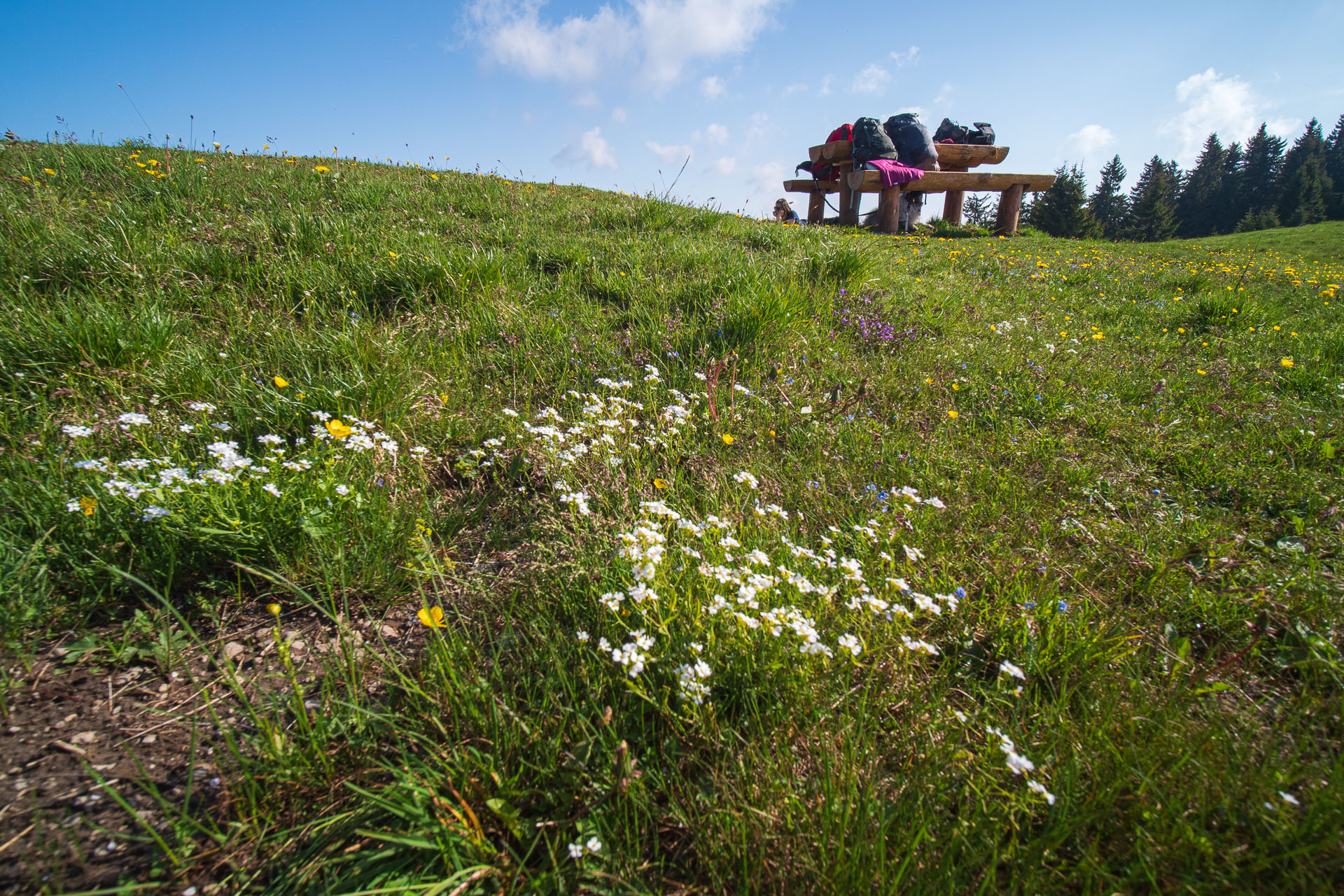 Rakytov od vojenskej zotavovne Granit Smrekovica (Veľká Fatra)