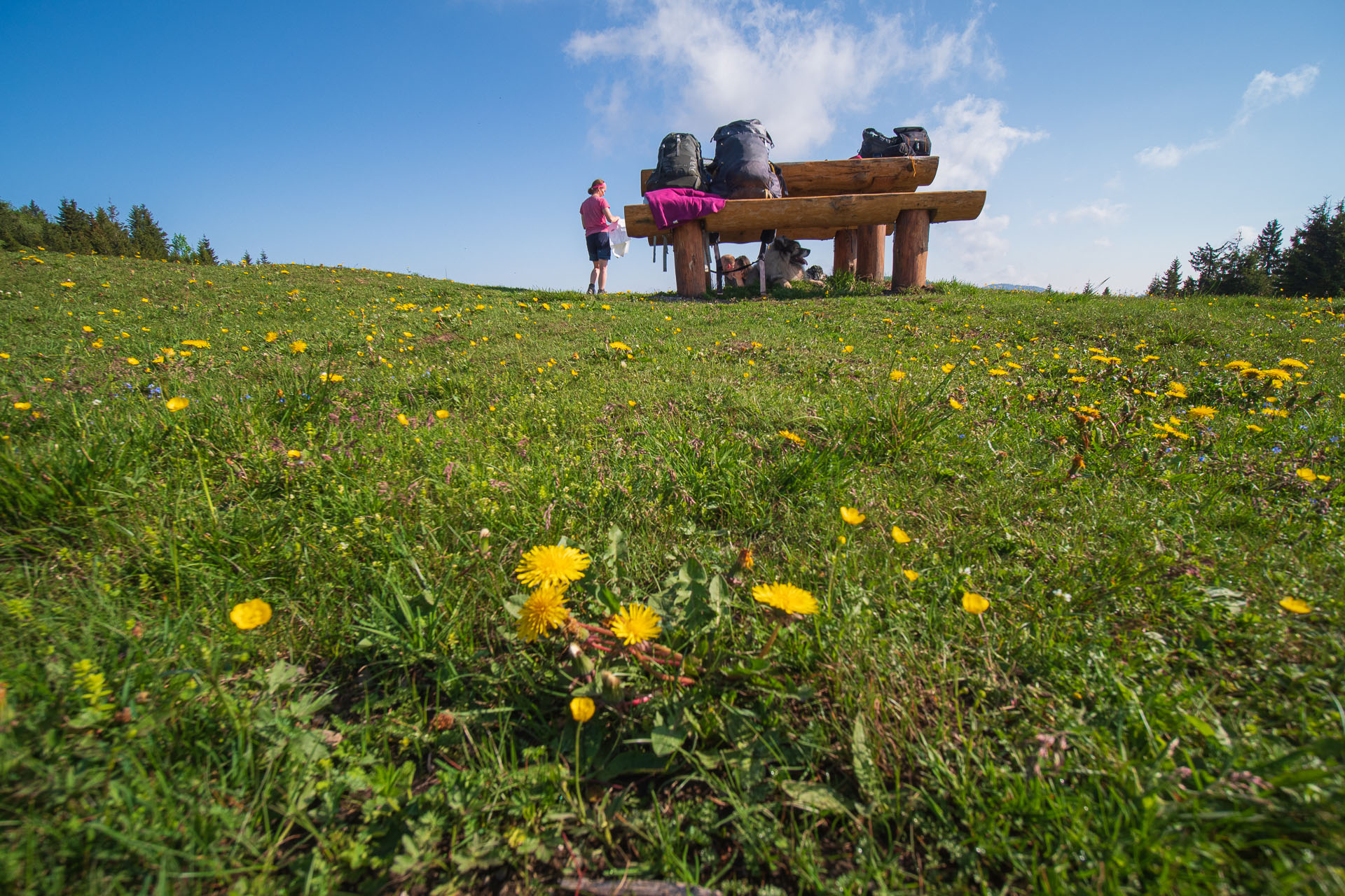 Rakytov od vojenskej zotavovne Granit Smrekovica (Veľká Fatra)