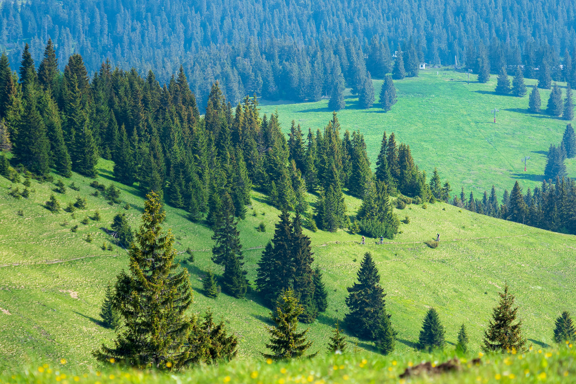 Rakytov od vojenskej zotavovne Granit Smrekovica (Veľká Fatra)