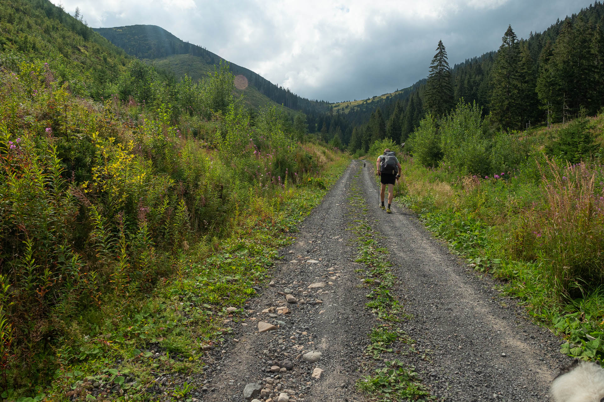 Rovná hoľa z Vyšnej Boce (Nízke Tatry)