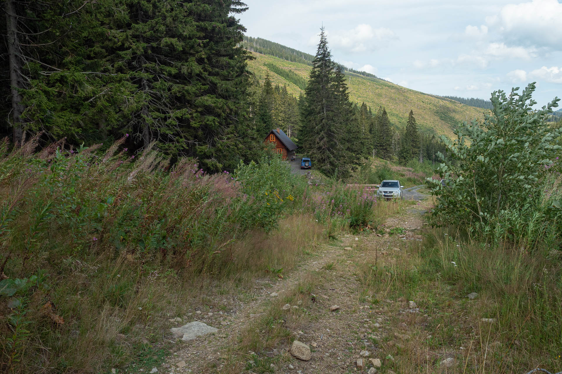 Rovná hoľa z Vyšnej Boce (Nízke Tatry)