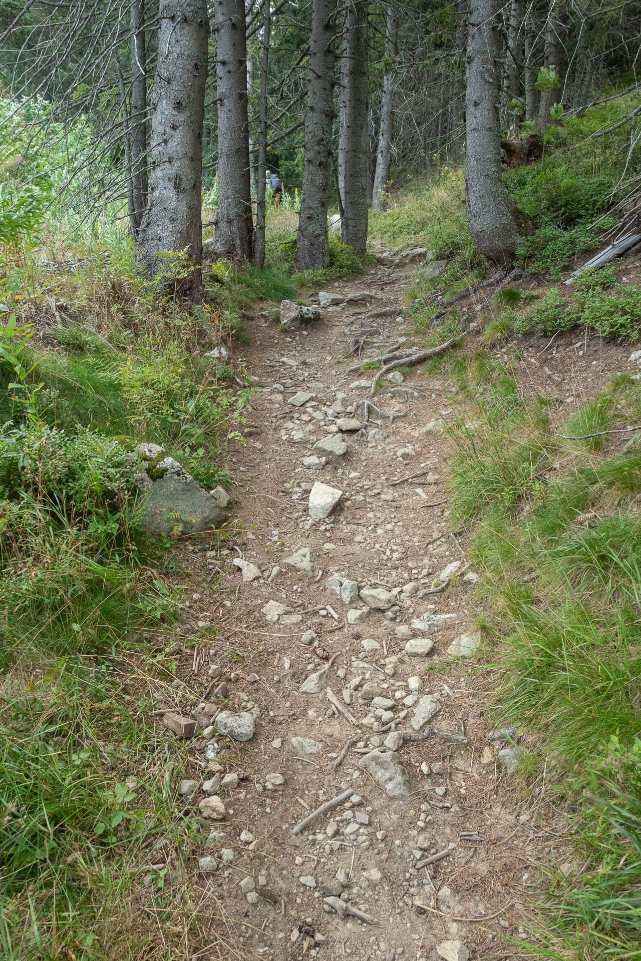 Rovná hoľa z Vyšnej Boce (Nízke Tatry)