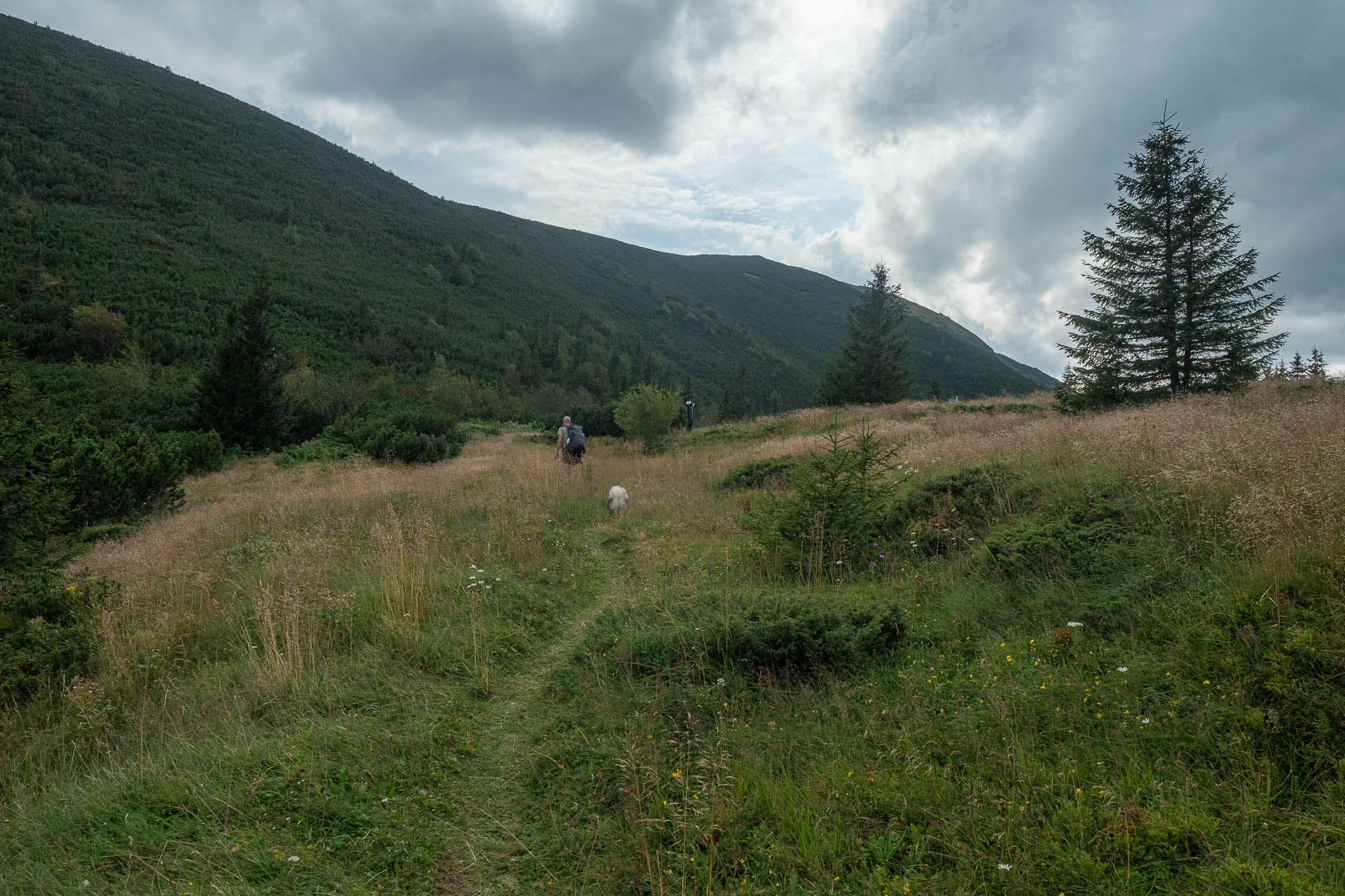 Rovná hoľa z Vyšnej Boce (Nízke Tatry)