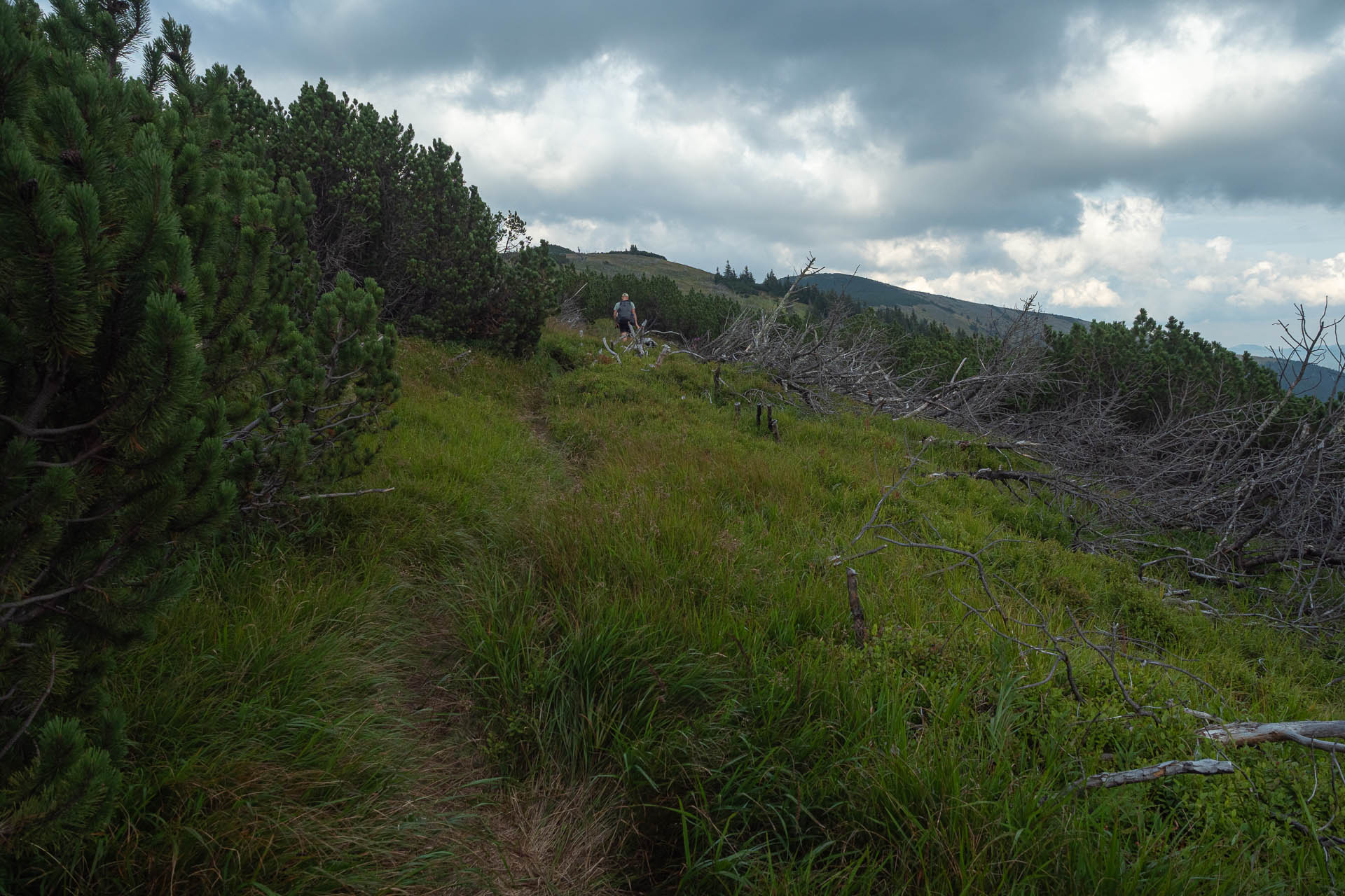 Rovná hoľa z Vyšnej Boce (Nízke Tatry)