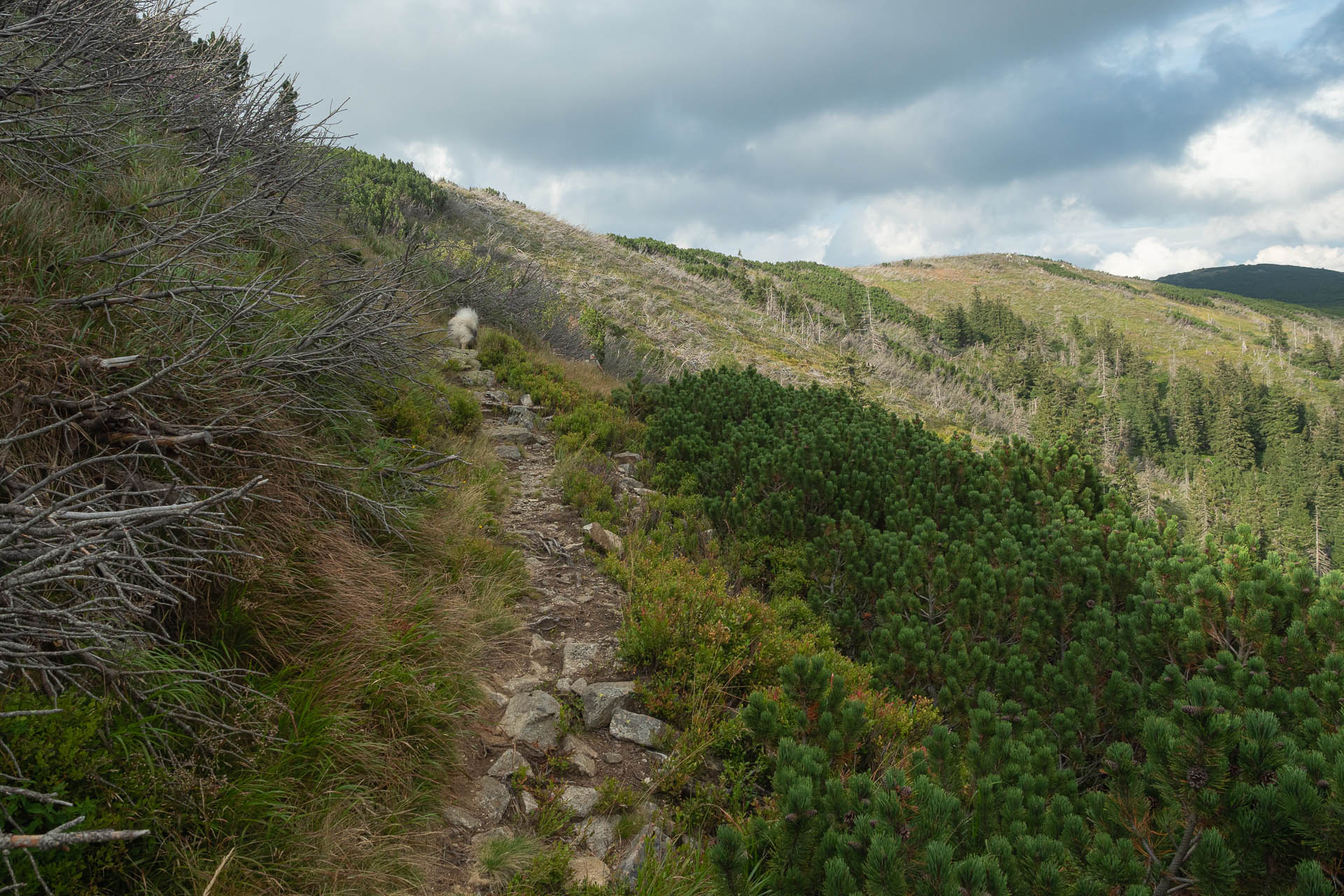 Rovná hoľa z Vyšnej Boce (Nízke Tatry)