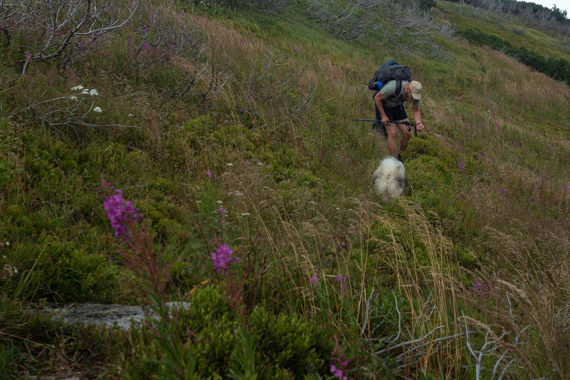 Rovná hoľa z Vyšnej Boce (Nízke Tatry)