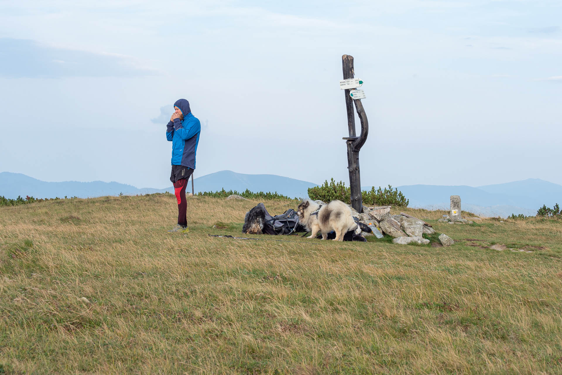 Rovná hoľa z Vyšnej Boce (Nízke Tatry)