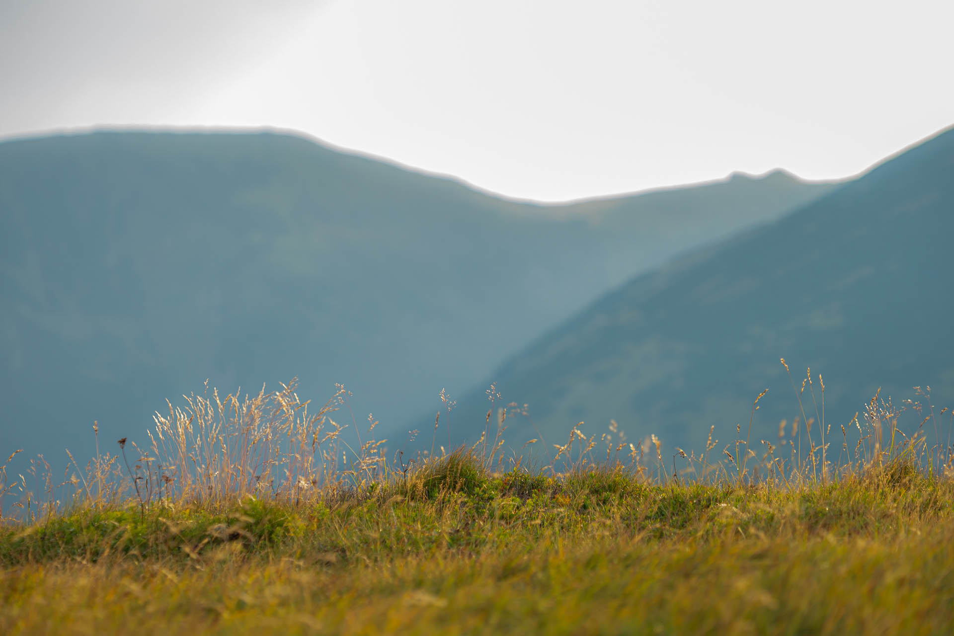 Rovná hoľa z Vyšnej Boce (Nízke Tatry)