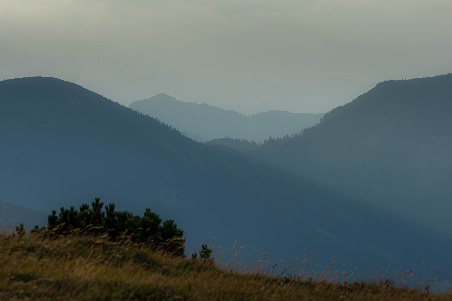 Rovná hoľa z Vyšnej Boce (Nízke Tatry)