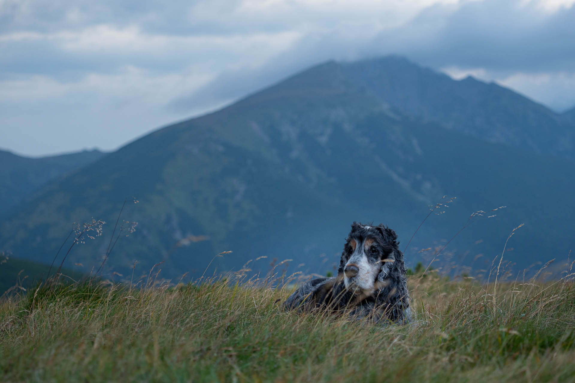 Rovná hoľa z Vyšnej Boce (Nízke Tatry)