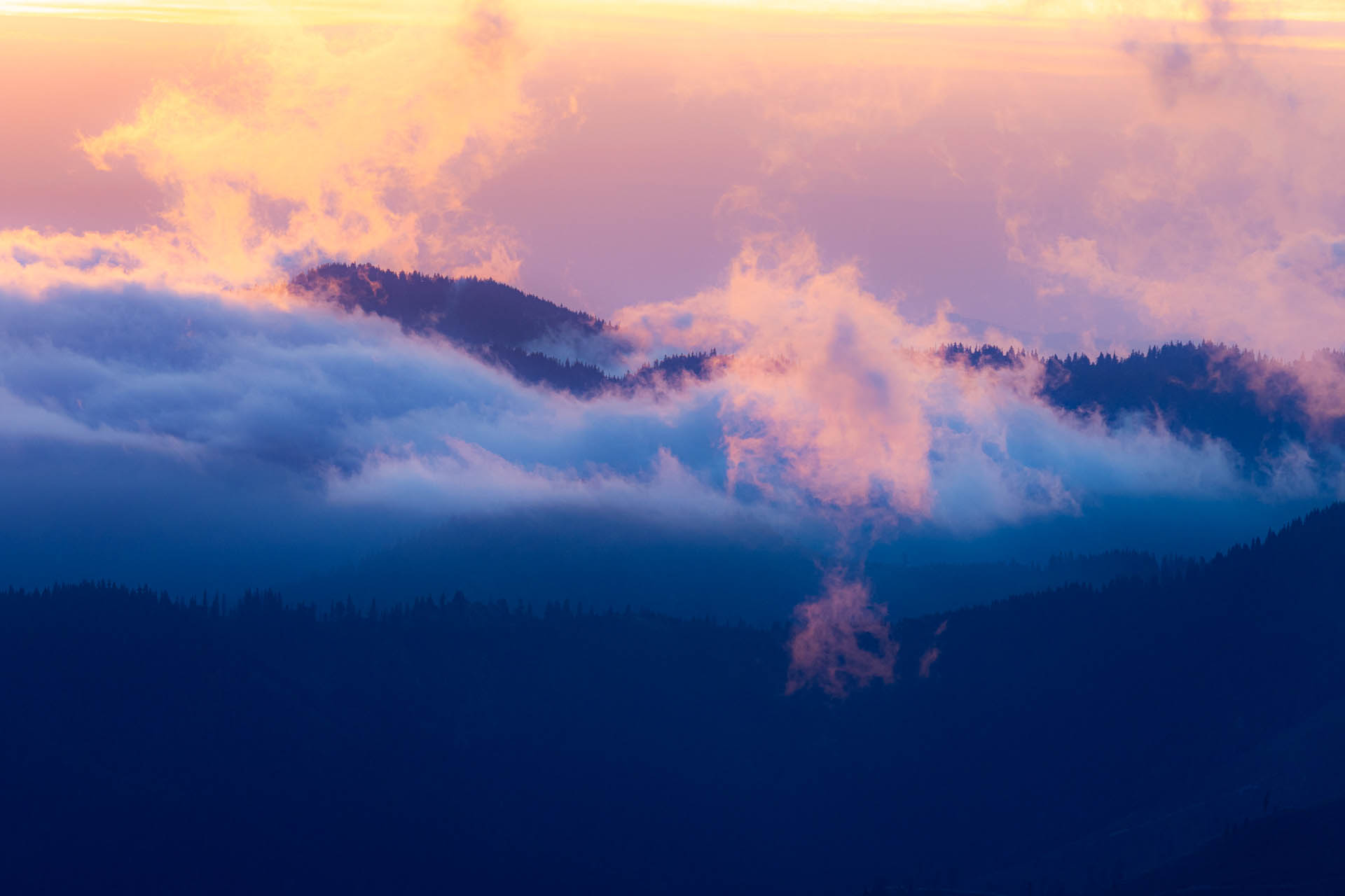 Rovná hoľa z Vyšnej Boce (Nízke Tatry)