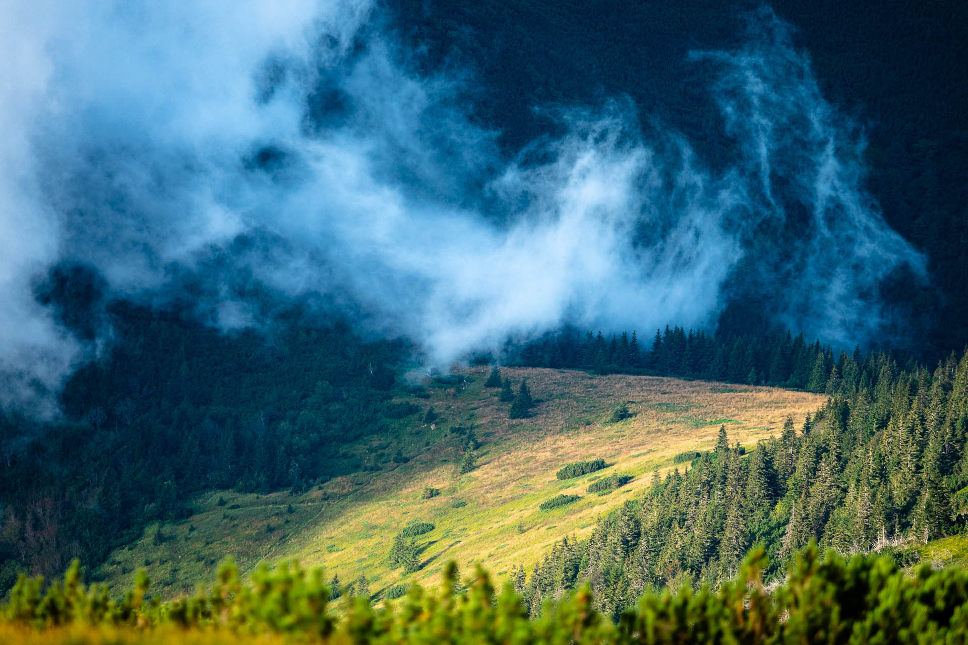 Rovná hoľa z Vyšnej Boce (Nízke Tatry)