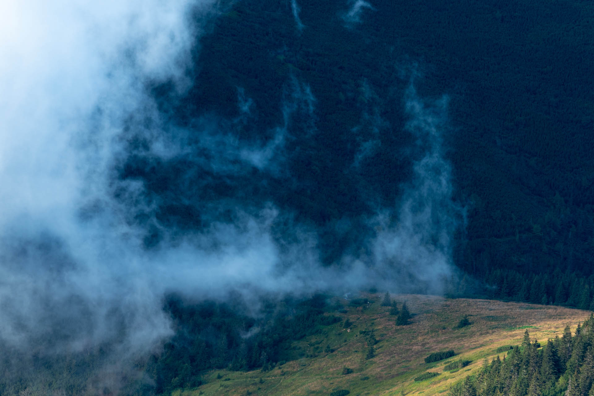 Rovná hoľa z Vyšnej Boce (Nízke Tatry)