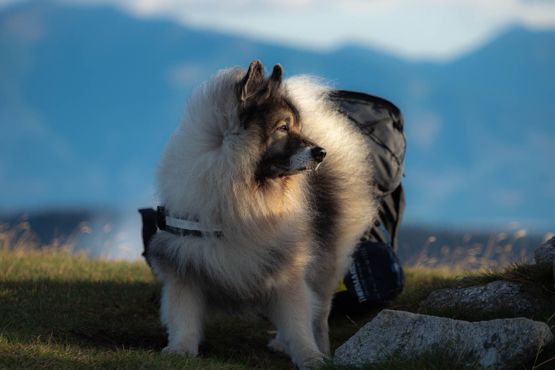 Rovná hoľa z Vyšnej Boce (Nízke Tatry)