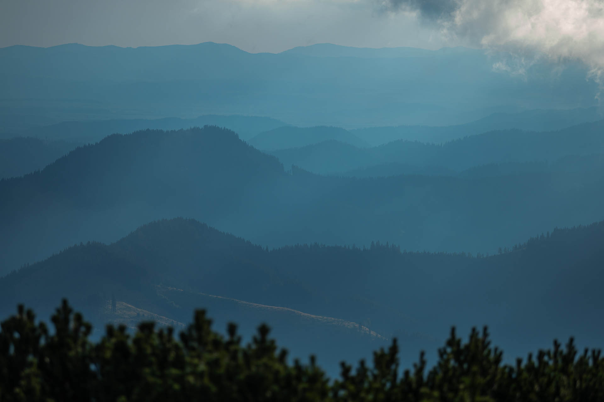 Rovná hoľa z Vyšnej Boce (Nízke Tatry)