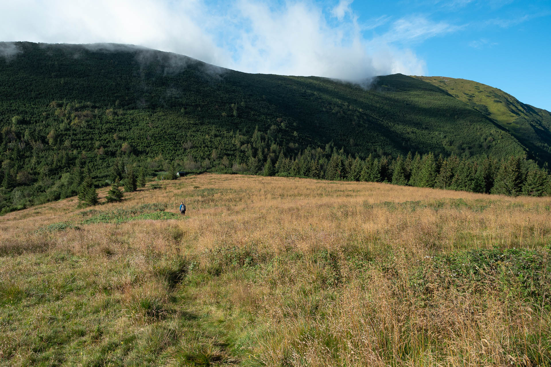 Rovná hoľa z Vyšnej Boce (Nízke Tatry)